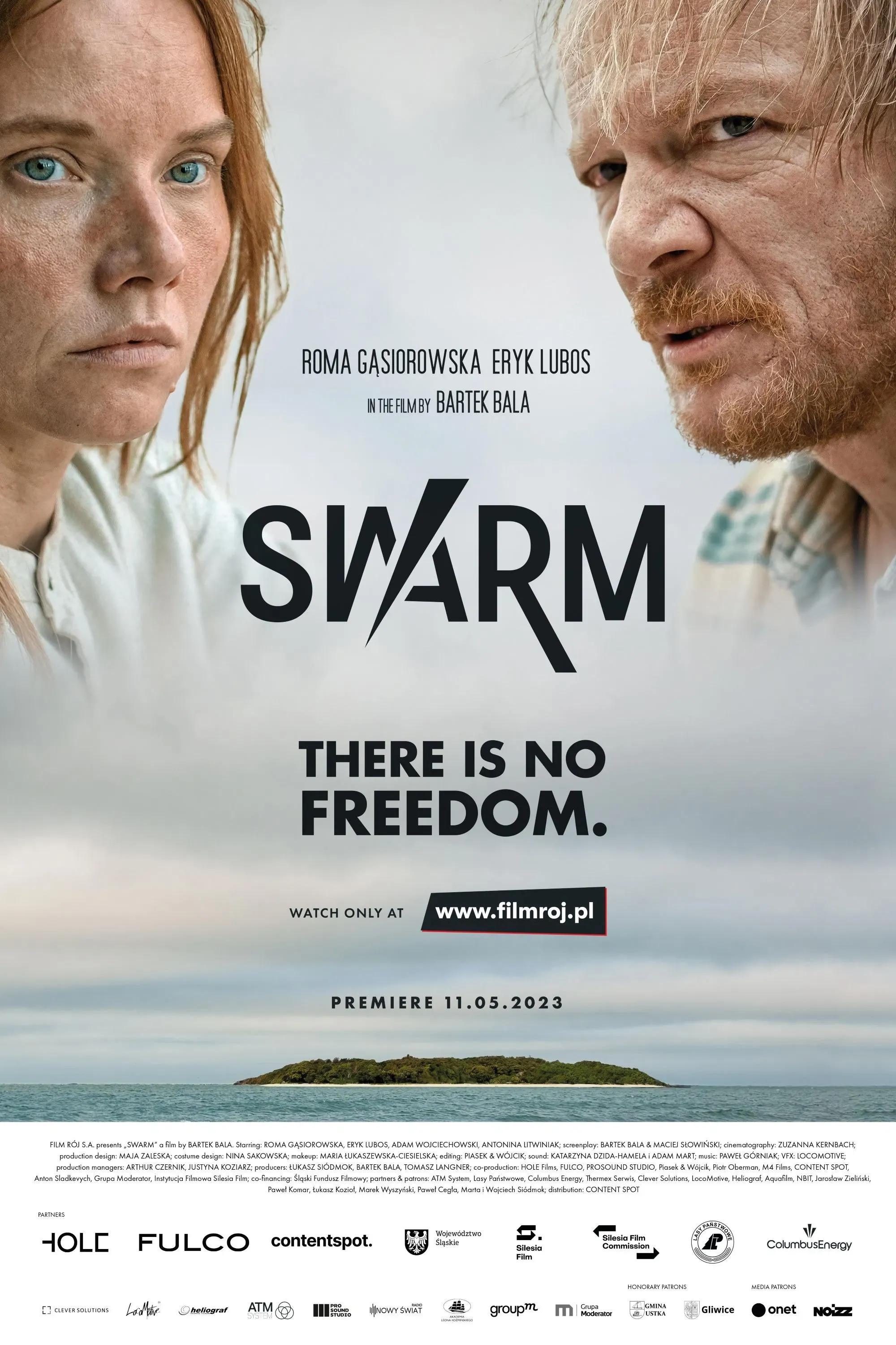 Poster of the movie Swarm