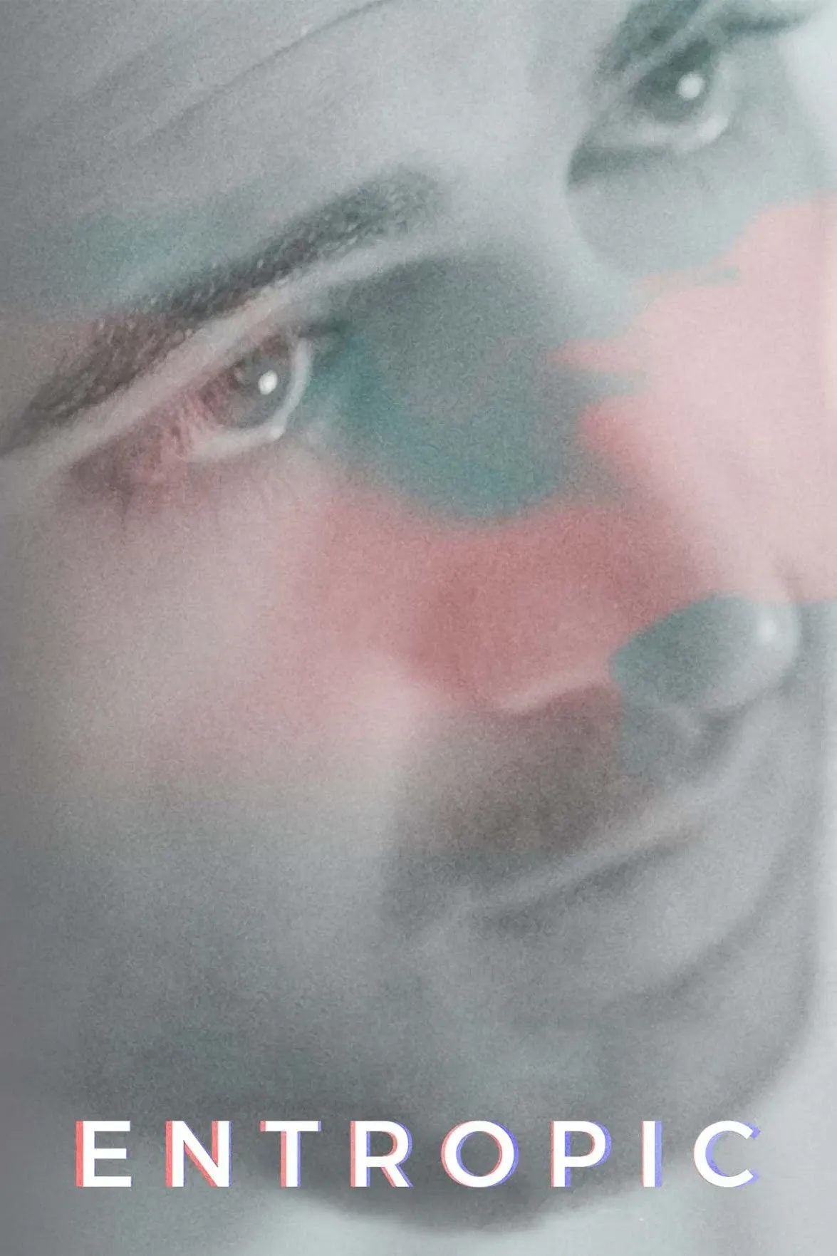 Poster of the movie Entropic