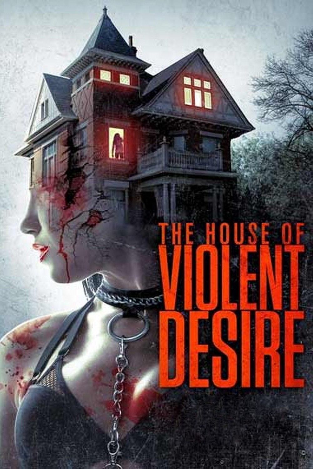 Poster of the movie The House of Violent Desire