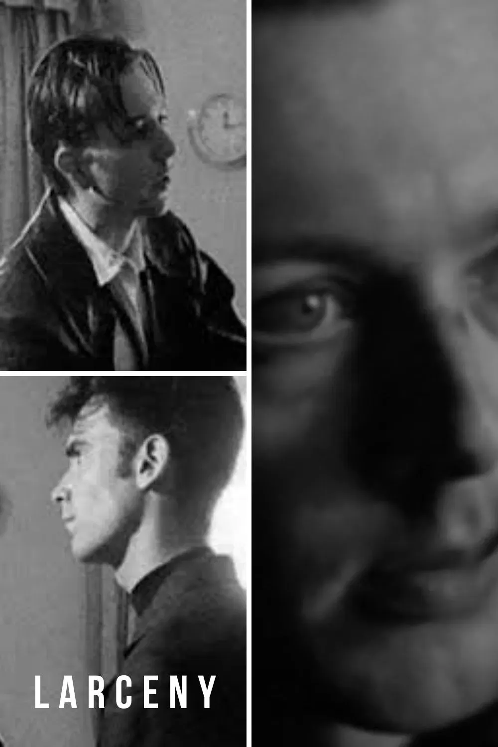 Poster of the movie Larceny