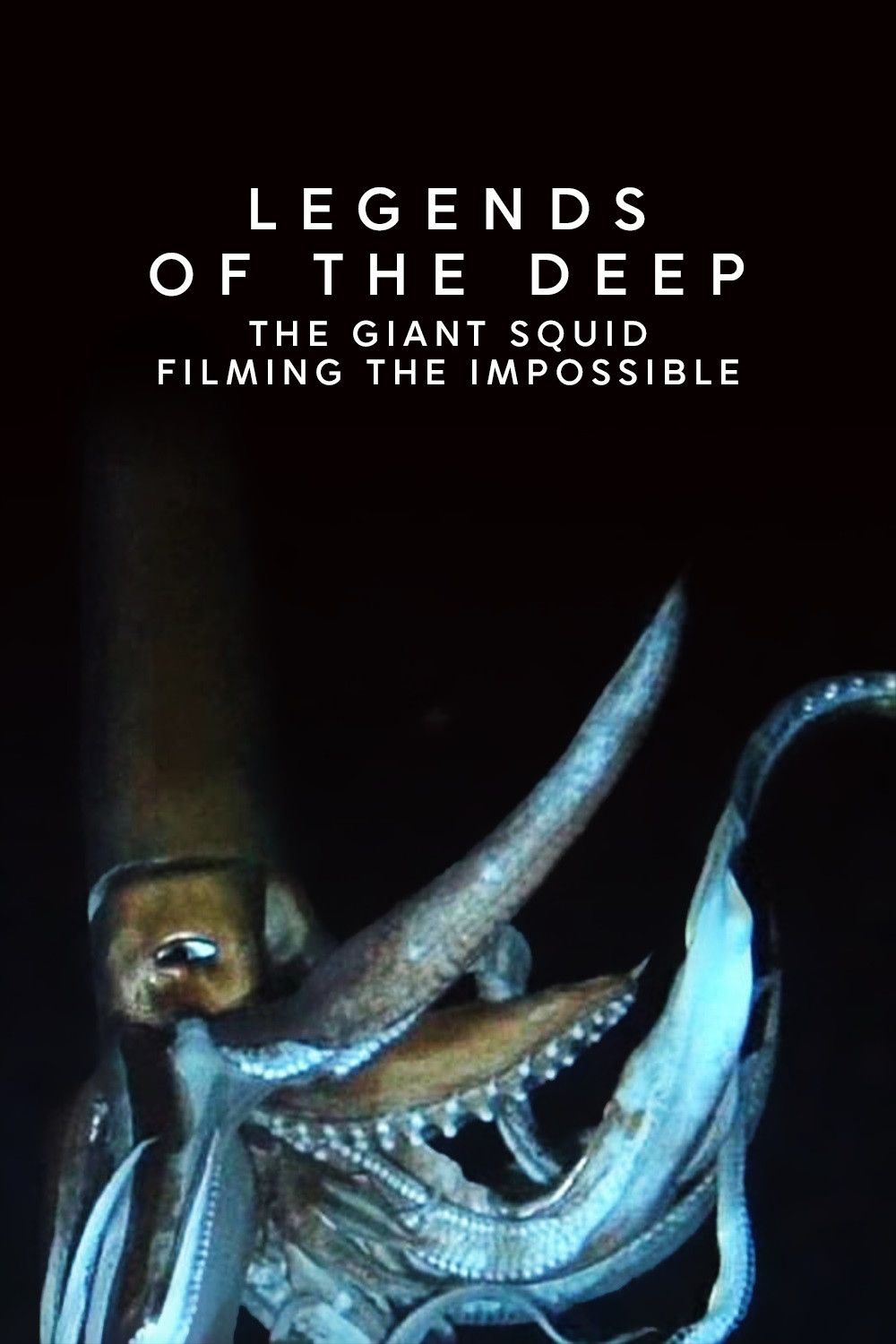 Poster of the movie Legends of the Deep: The Giant Squid