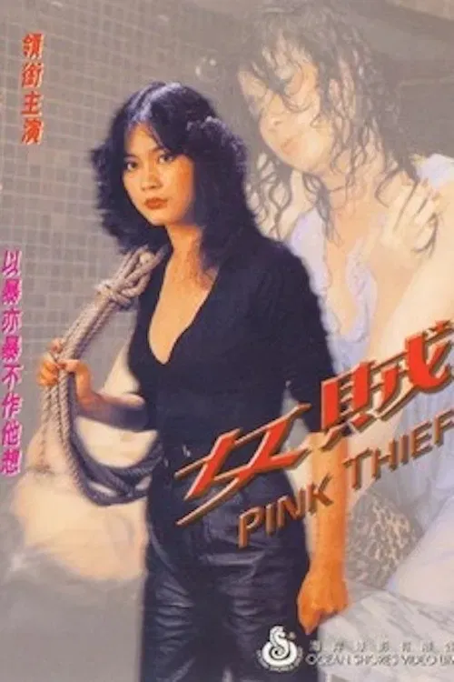 Poster of the movie Pink Thief