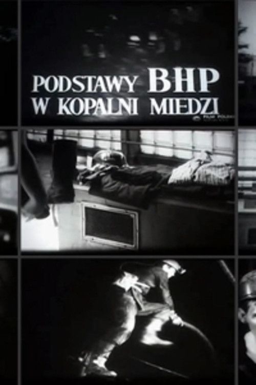 Poster of the movie The Principles of Safety and Hygiene in a Copper Mine