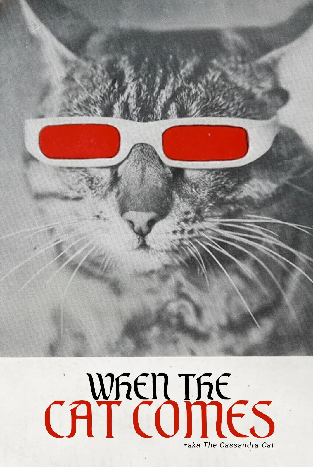 Poster of the movie When the Cat Comes