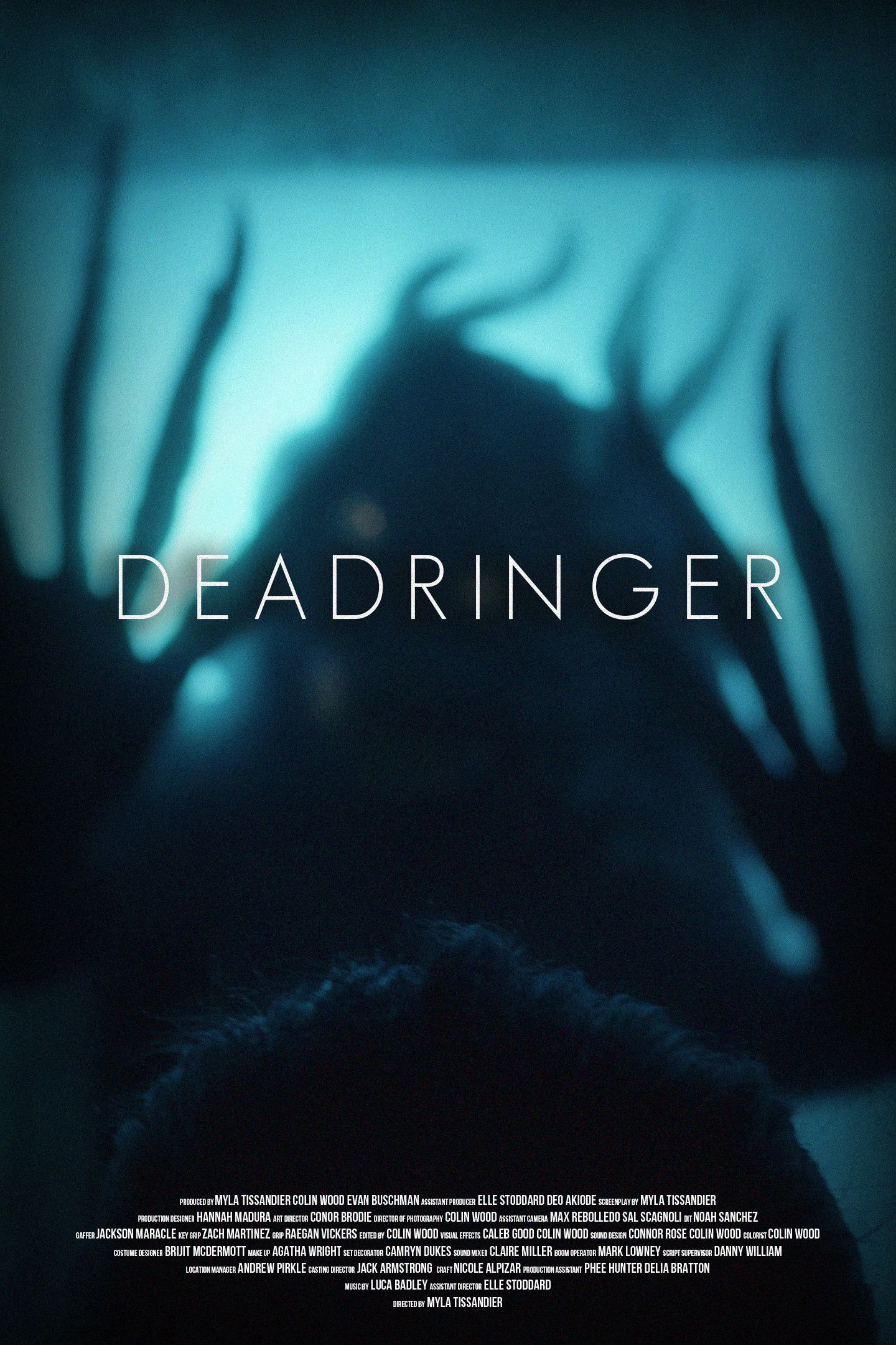 Poster of the movie DEADRINGER