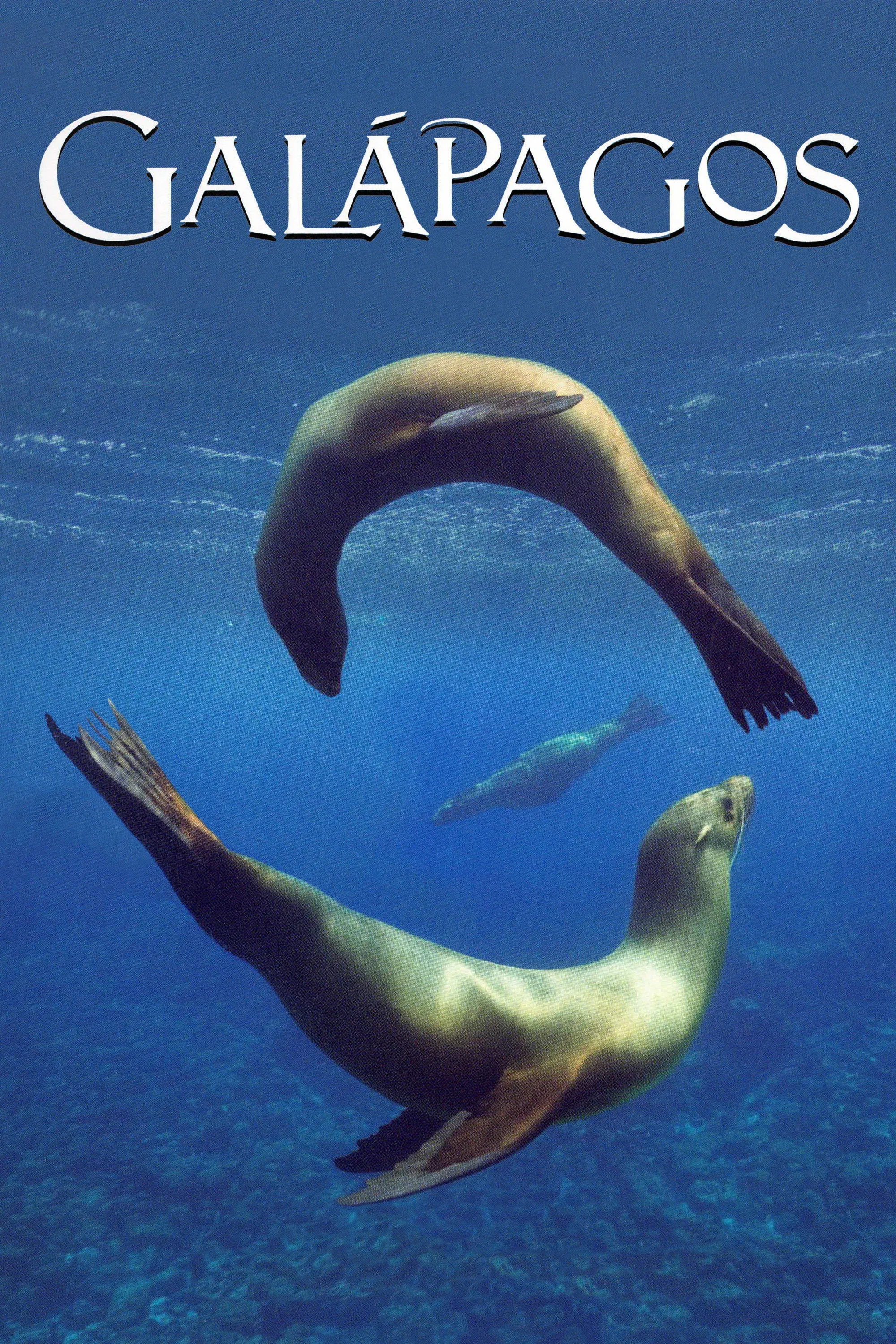 Poster of Galapagos