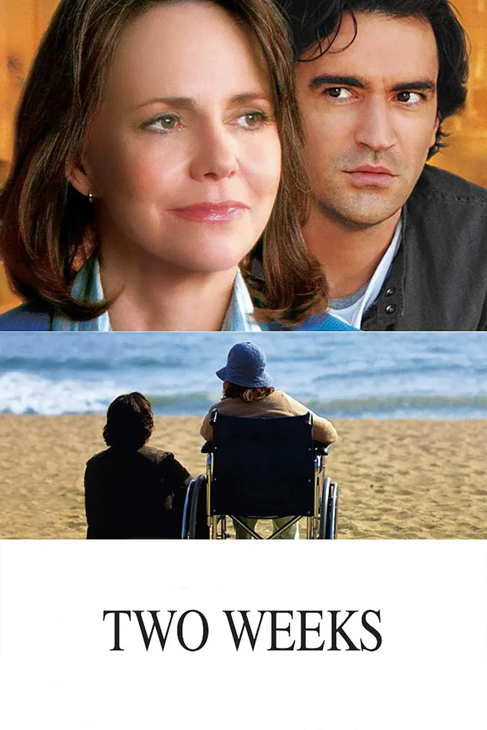 Poster of the movie Two Weeks