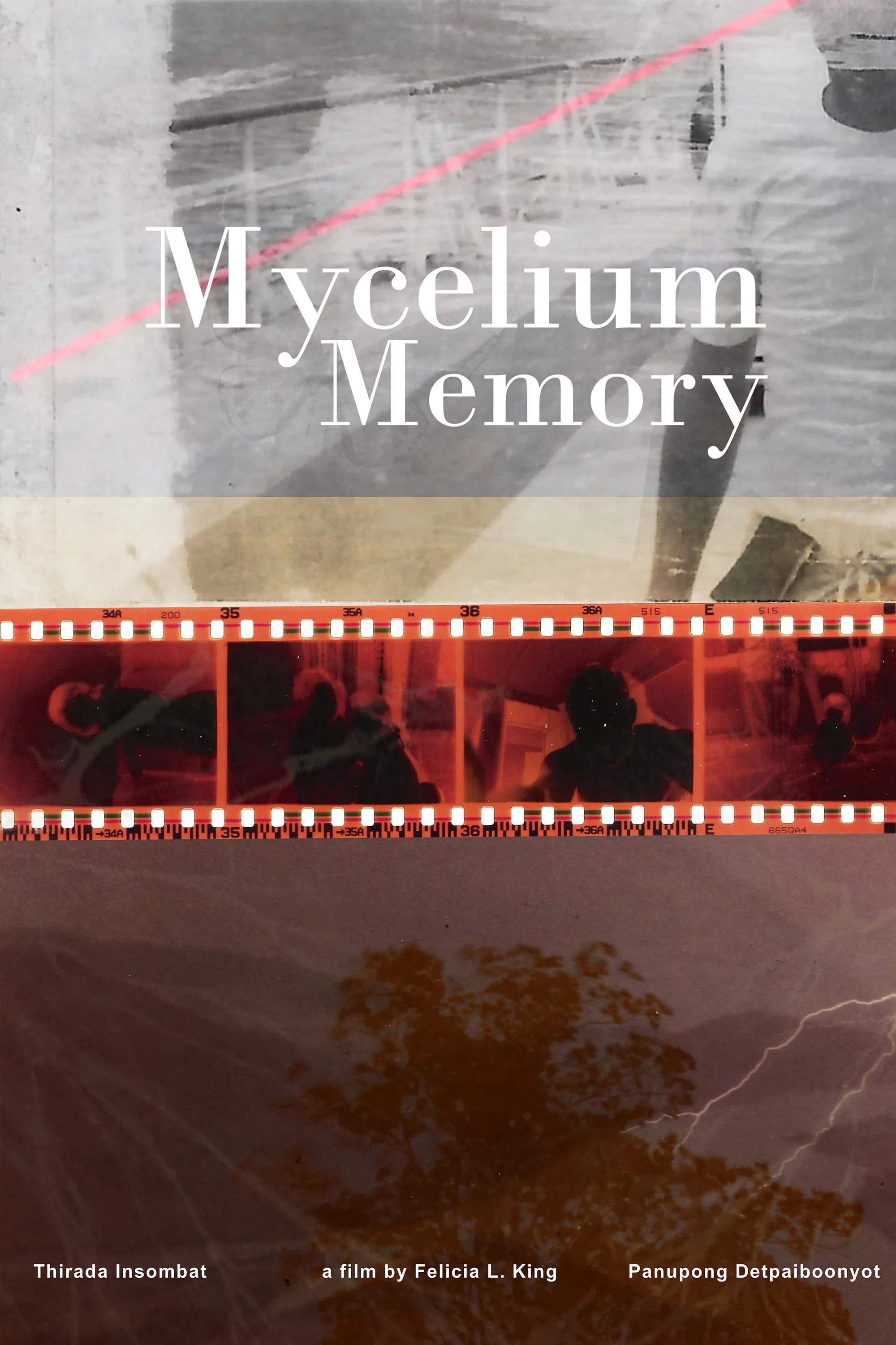 Poster for Mycelium Memory