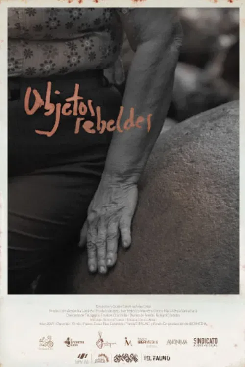 Poster of the movie Rebel Objects