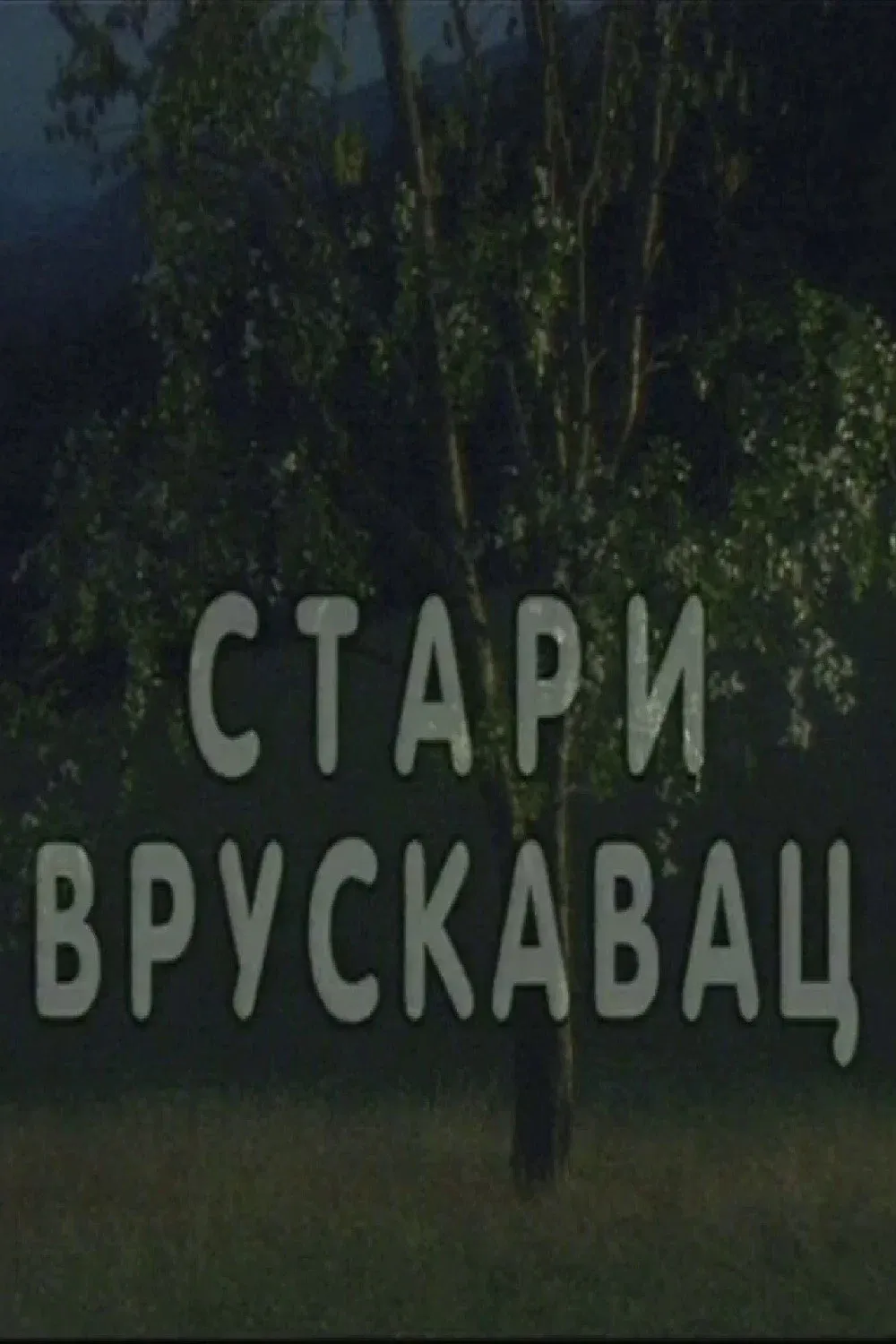 Poster for Stari vruskavac