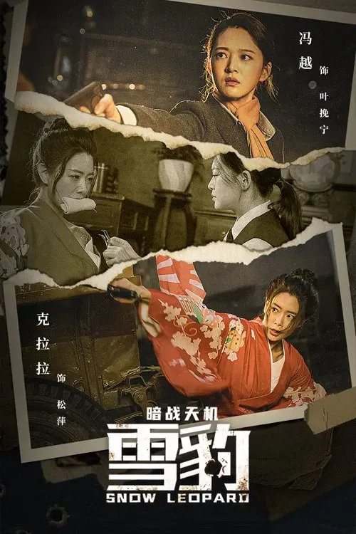 Poster of the movie Snow Leopard Secret War