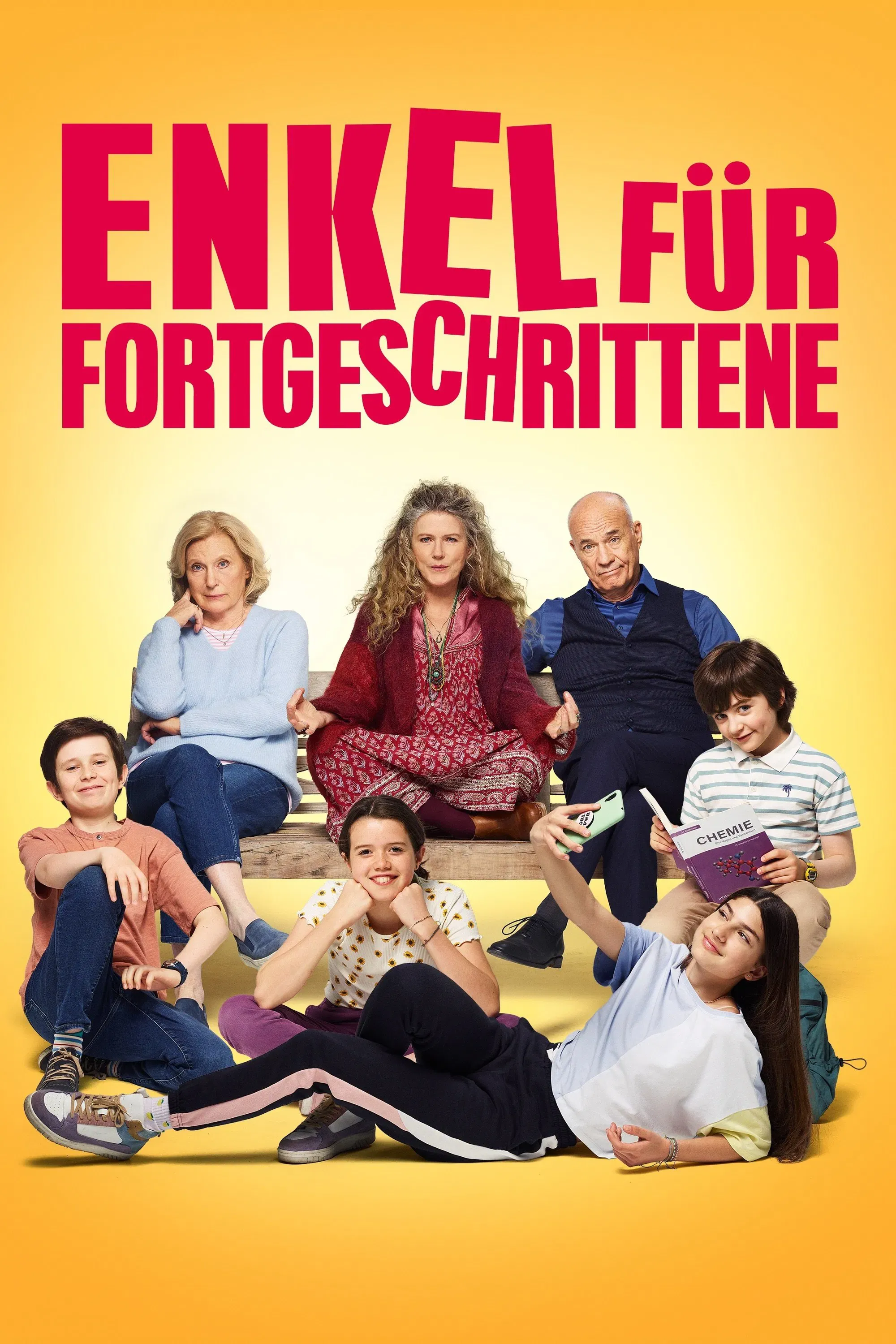 Poster of the movie Enkel für Fortgeschrittene