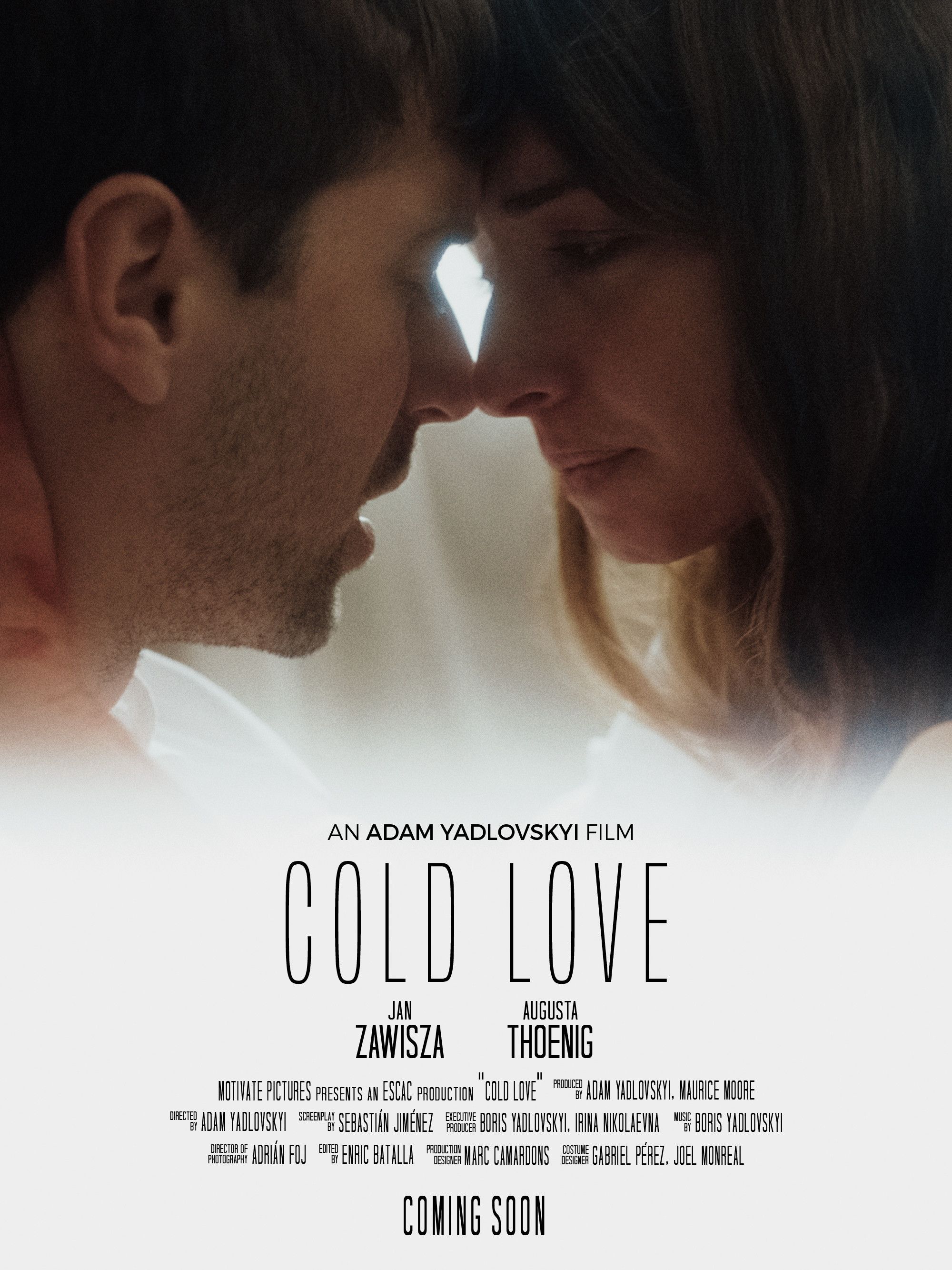Poster for Cold Love