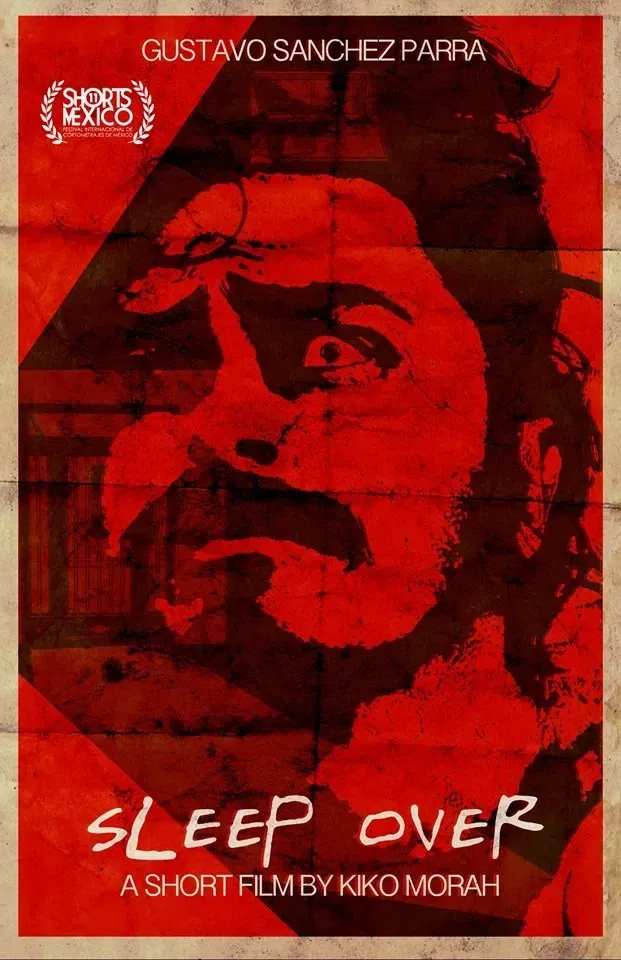 Poster of the movie Sleep Over