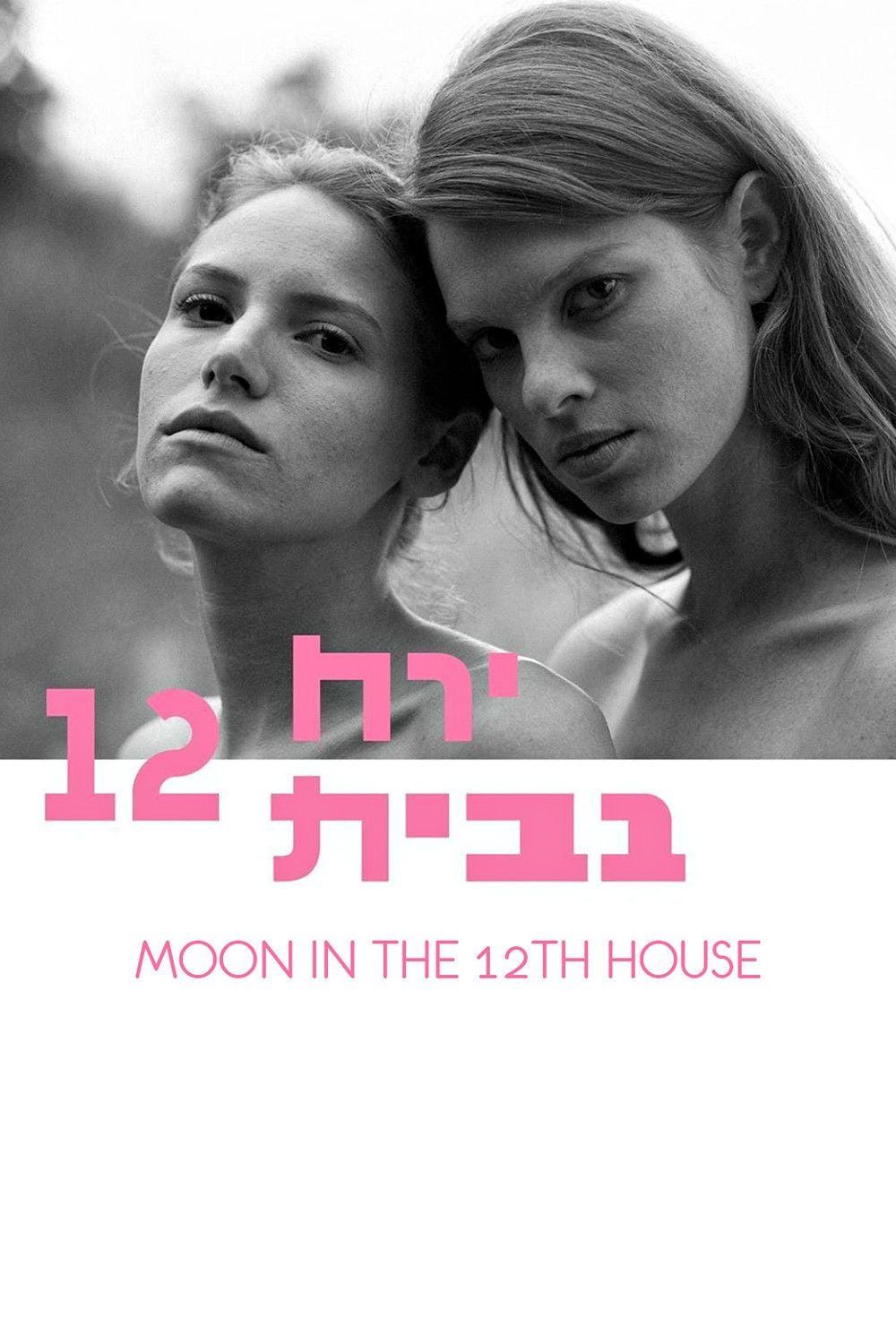 Poster of the movie Moon in the 12th House
