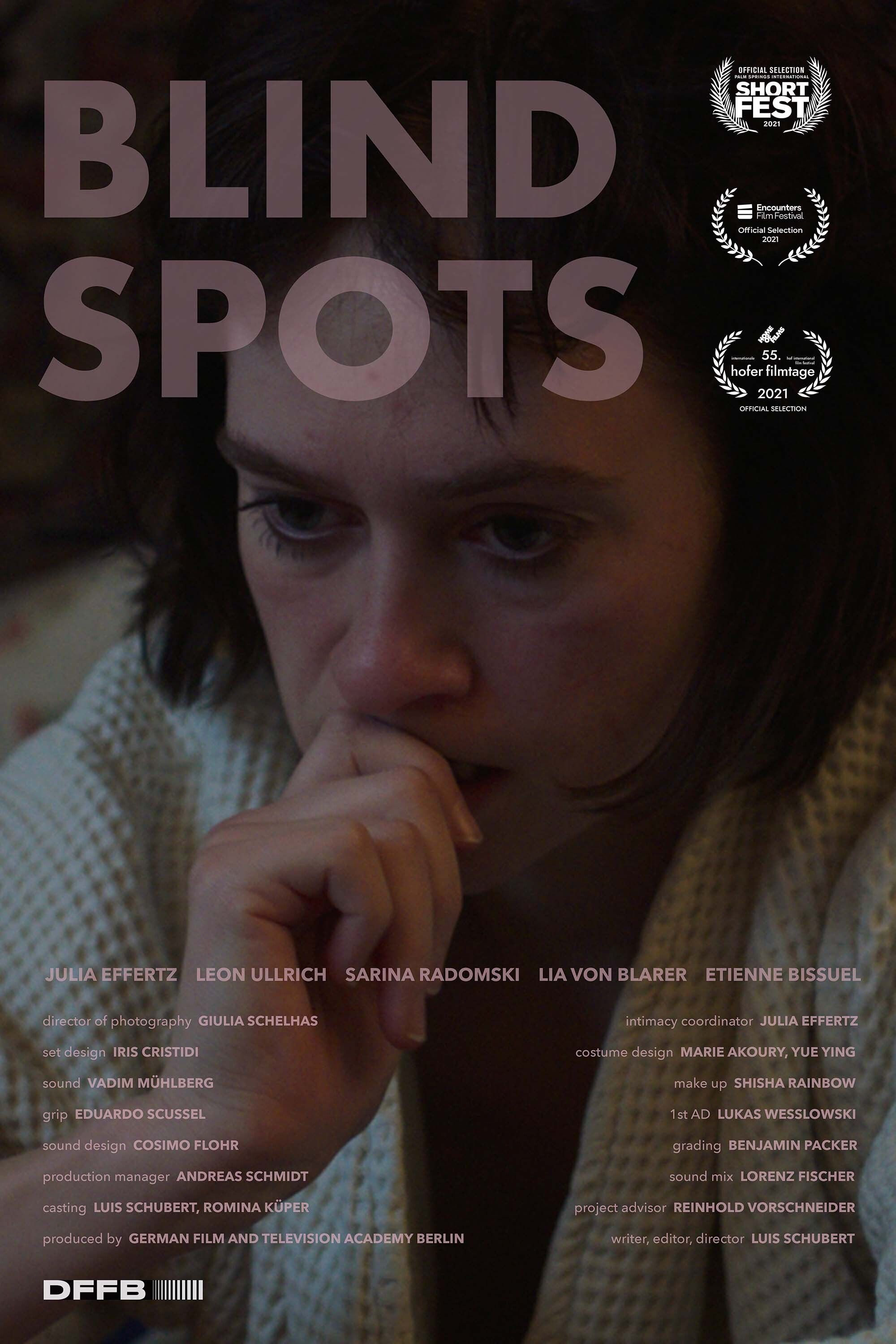 Poster of the movie Blind Spots