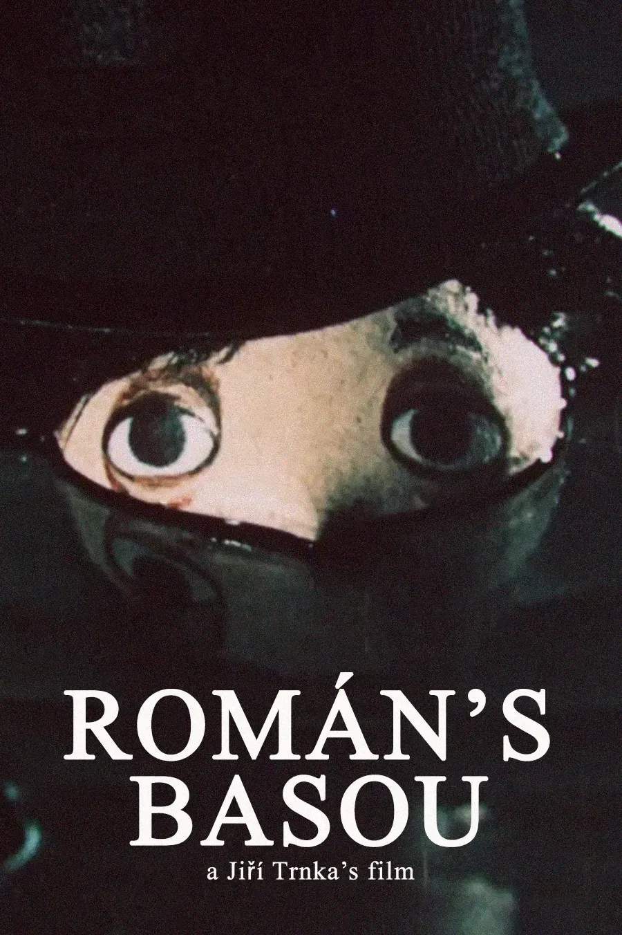 Poster of the movie Story of the Bass Cello