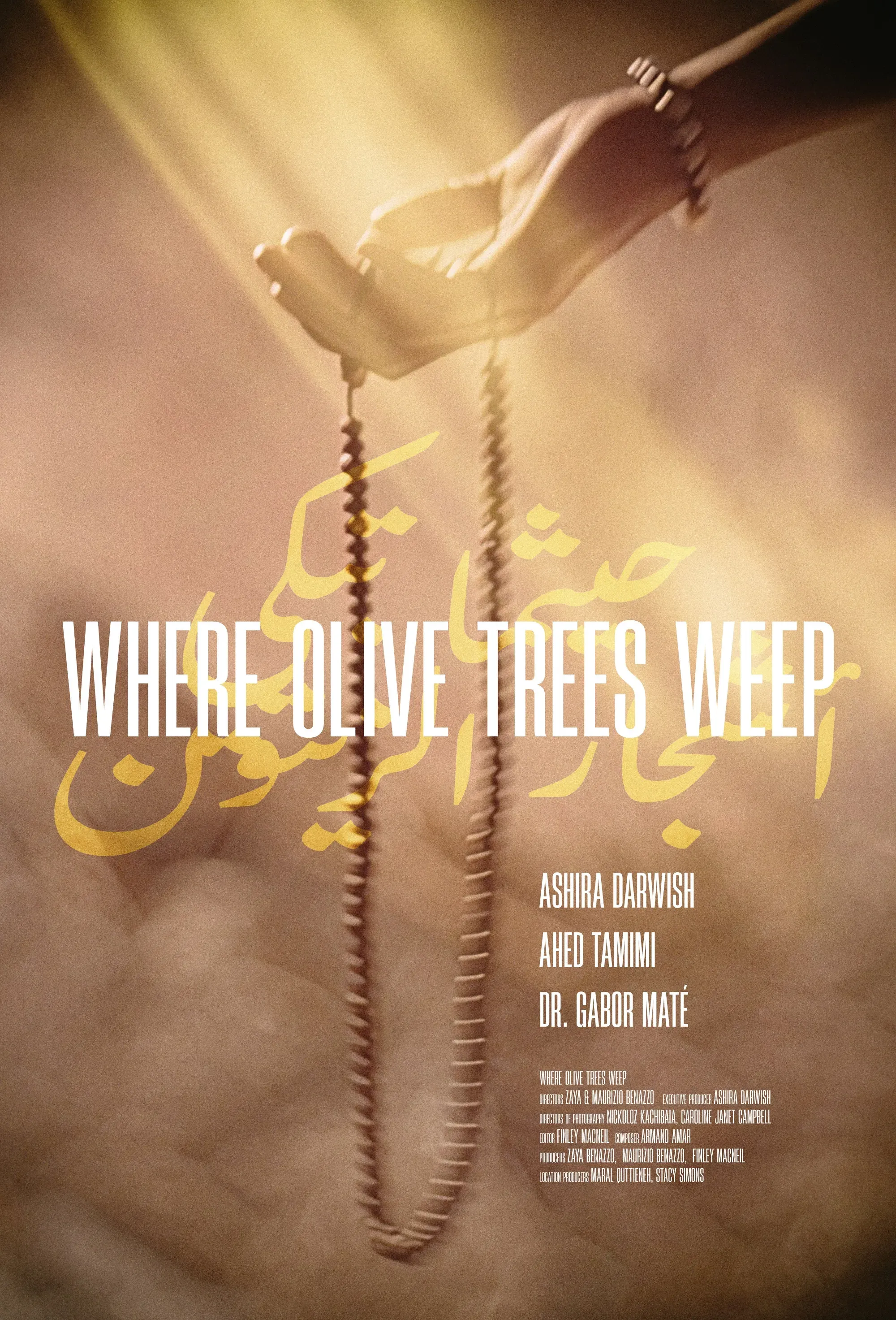 Poster of the movie Where Olive Trees Weep