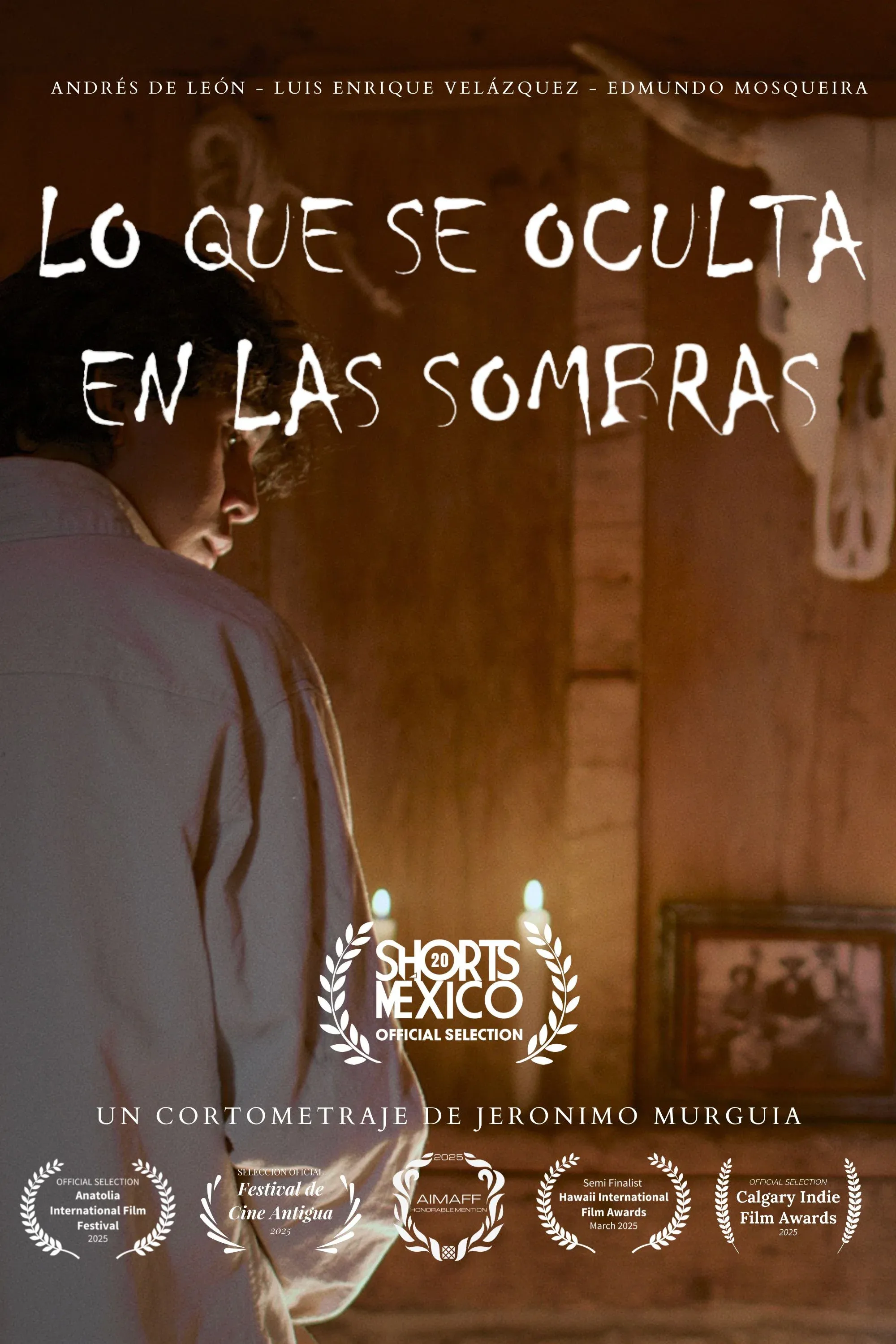 Poster for WHAT HIDES WHITIN THE SHADOWS