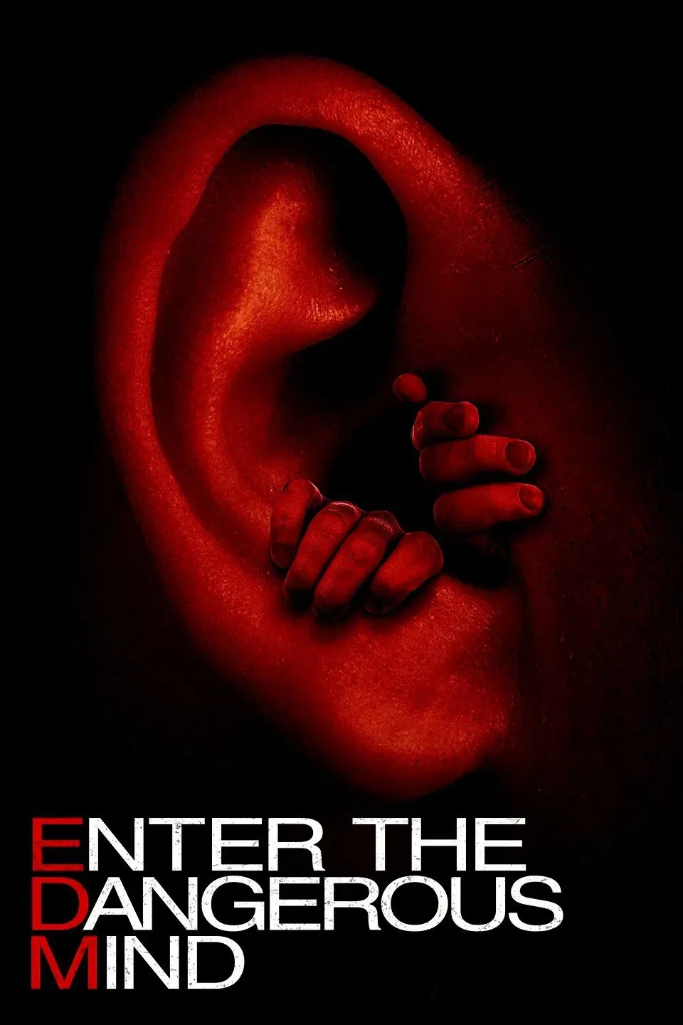 Poster of the movie Enter the Dangerous Mind