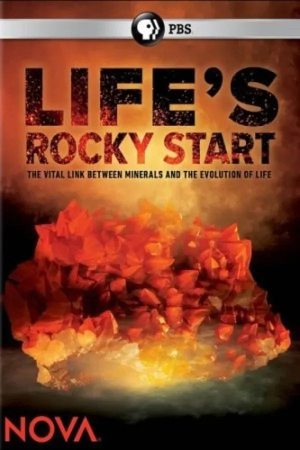 Poster of the movie NOVA: Life's Rocky Start