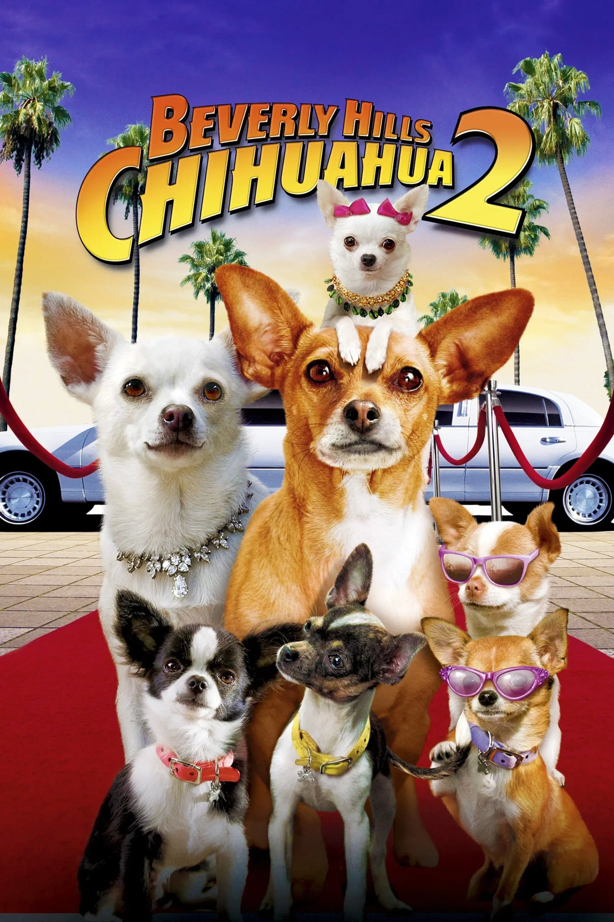 Poster of the movie Beverly Hills Chihuahua 2