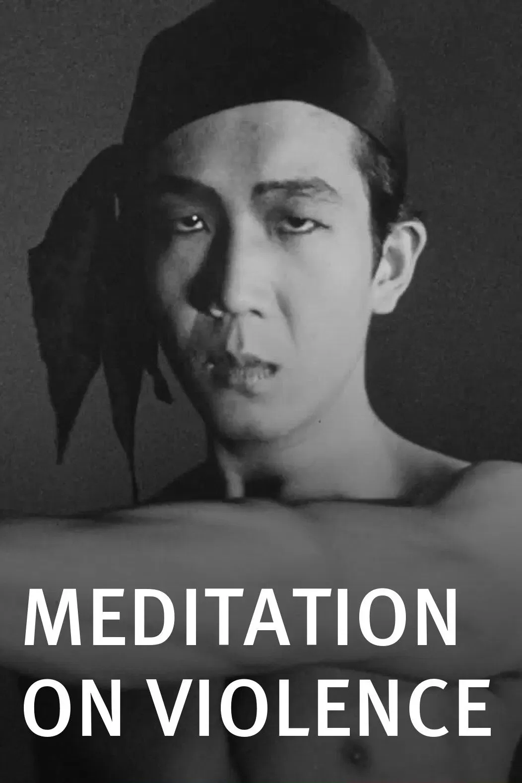 Poster of the movie Meditation on Violence