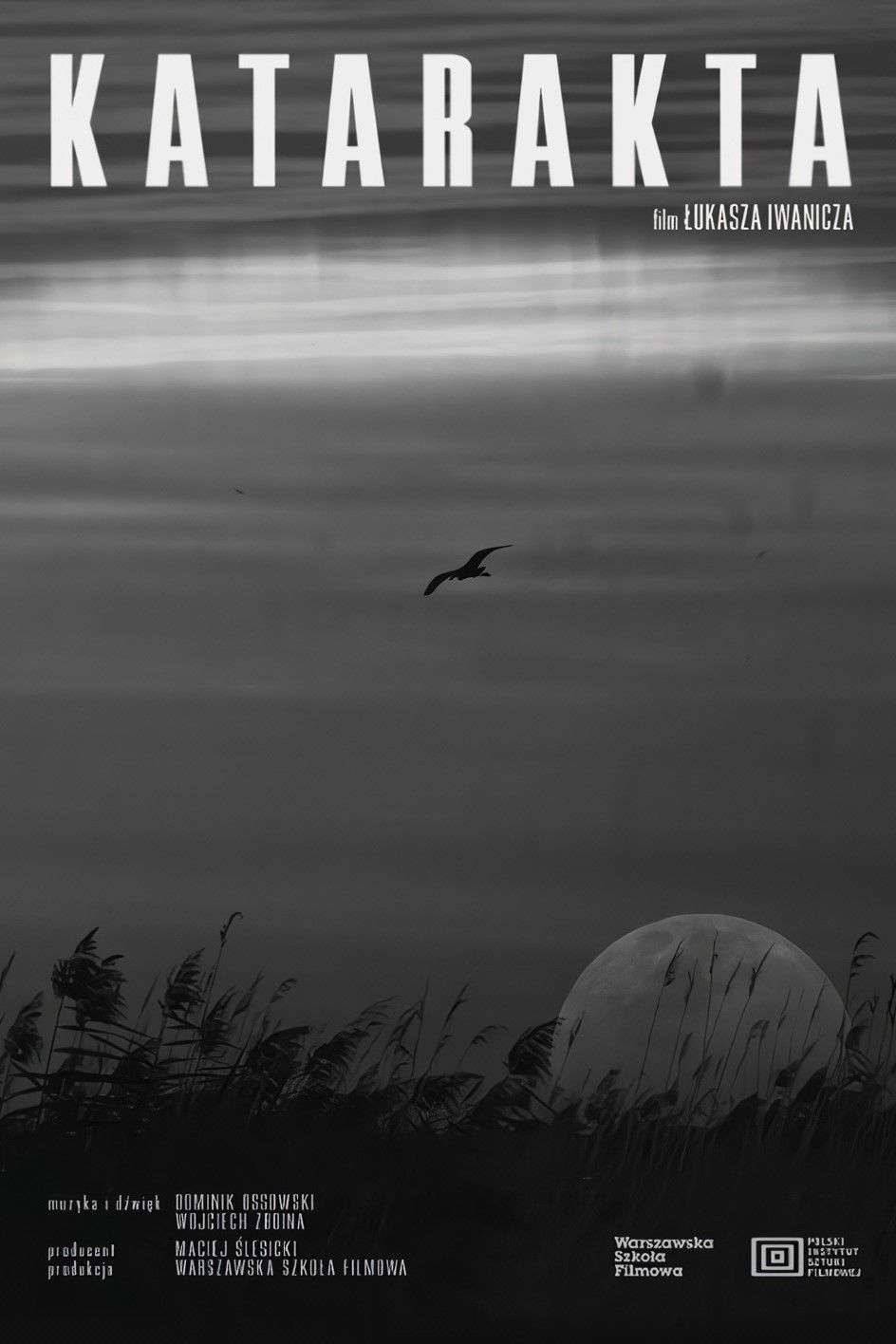 Poster of the movie Cataract