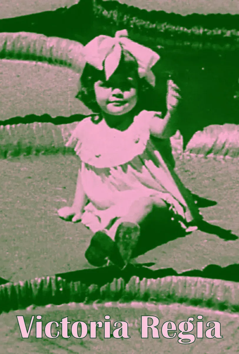 Poster for Victória Régia