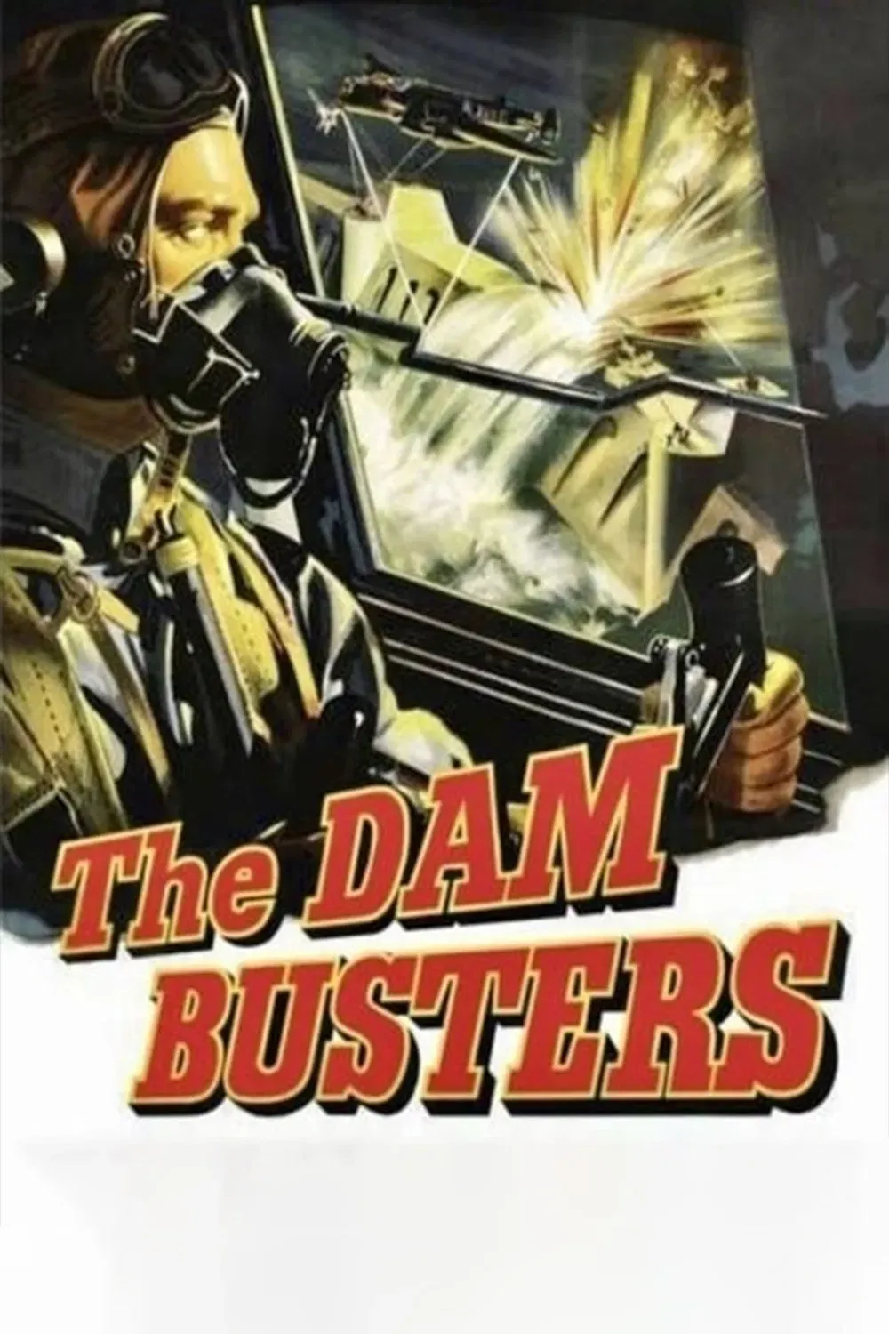 Poster of the movie The Dam Busters