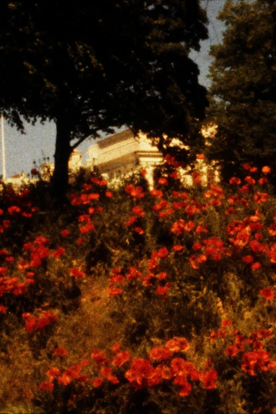 Poster of the movie The Road to Kalmar
