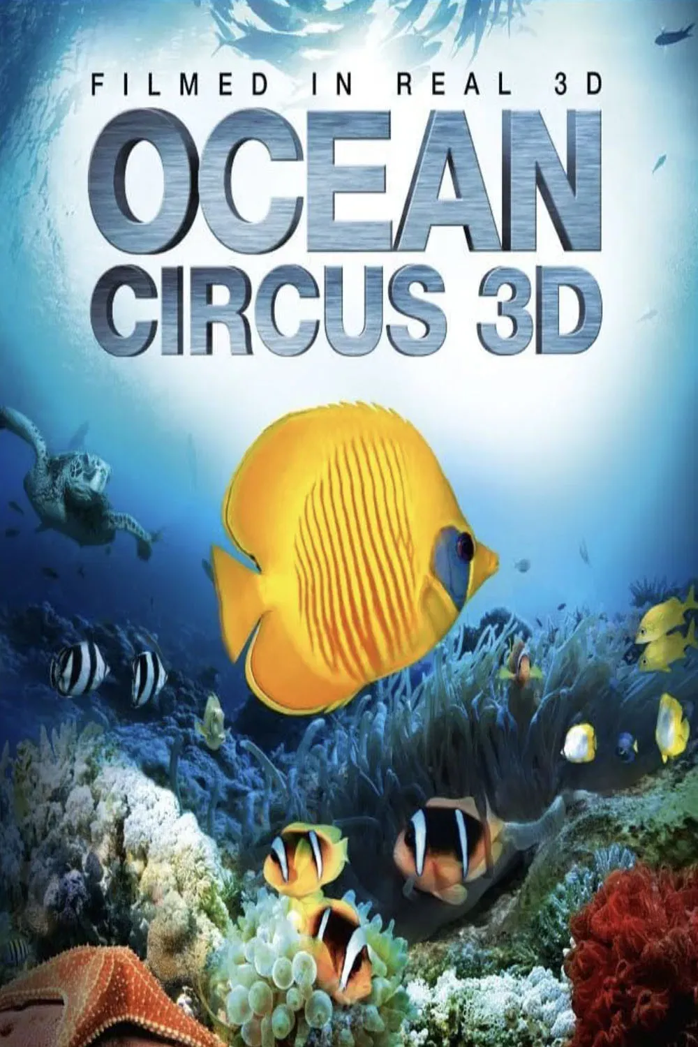 Poster of the movie Ocean Circus 3D: Underwater Around the World