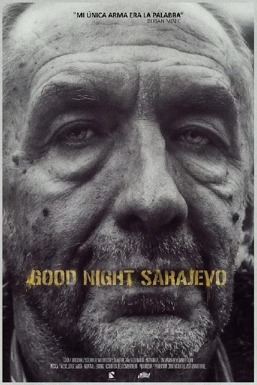 Poster of the movie Good Night Sarajevo