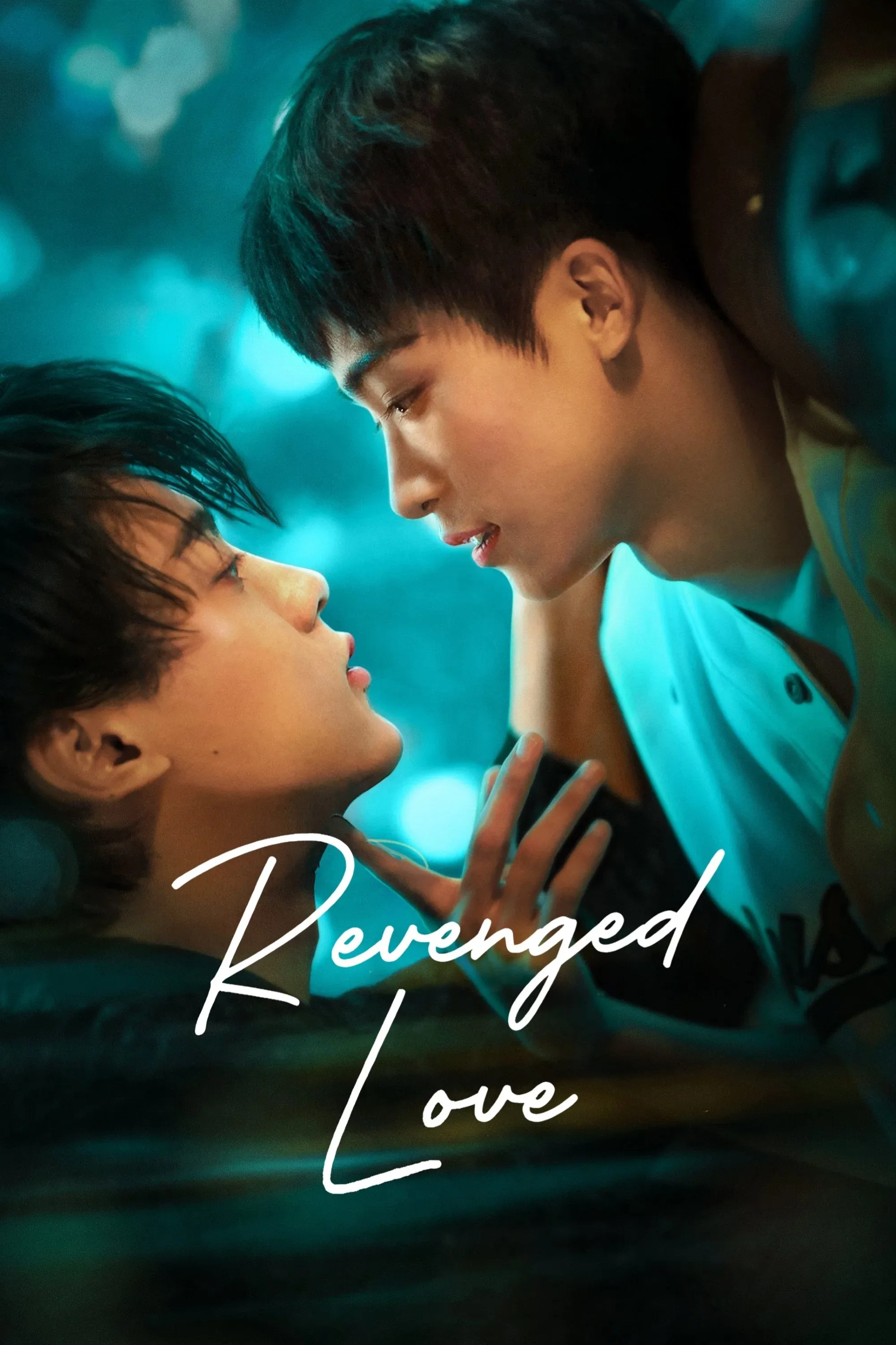 Poster of Revenged Love