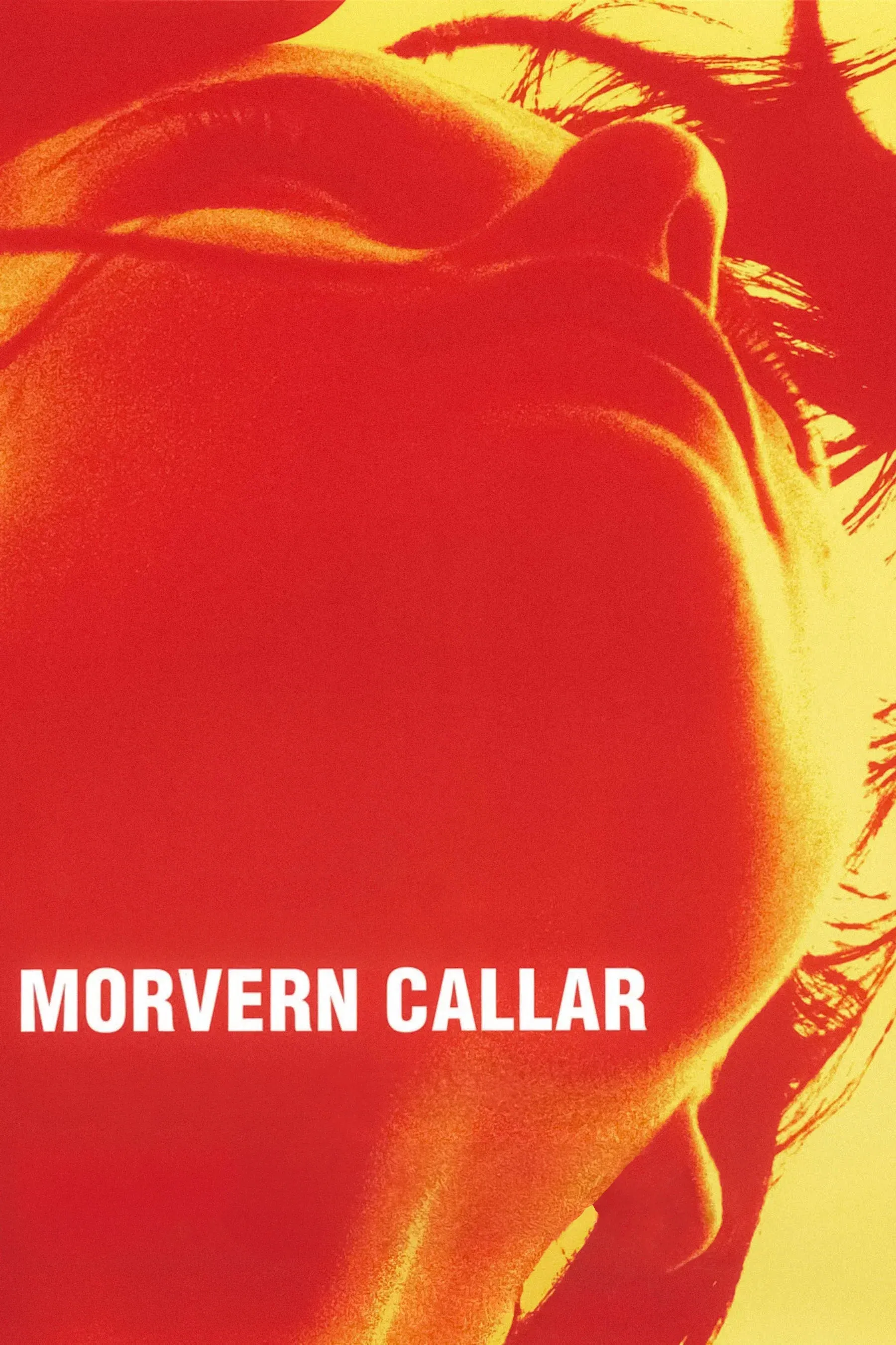 Poster of the movie Morvern Callar