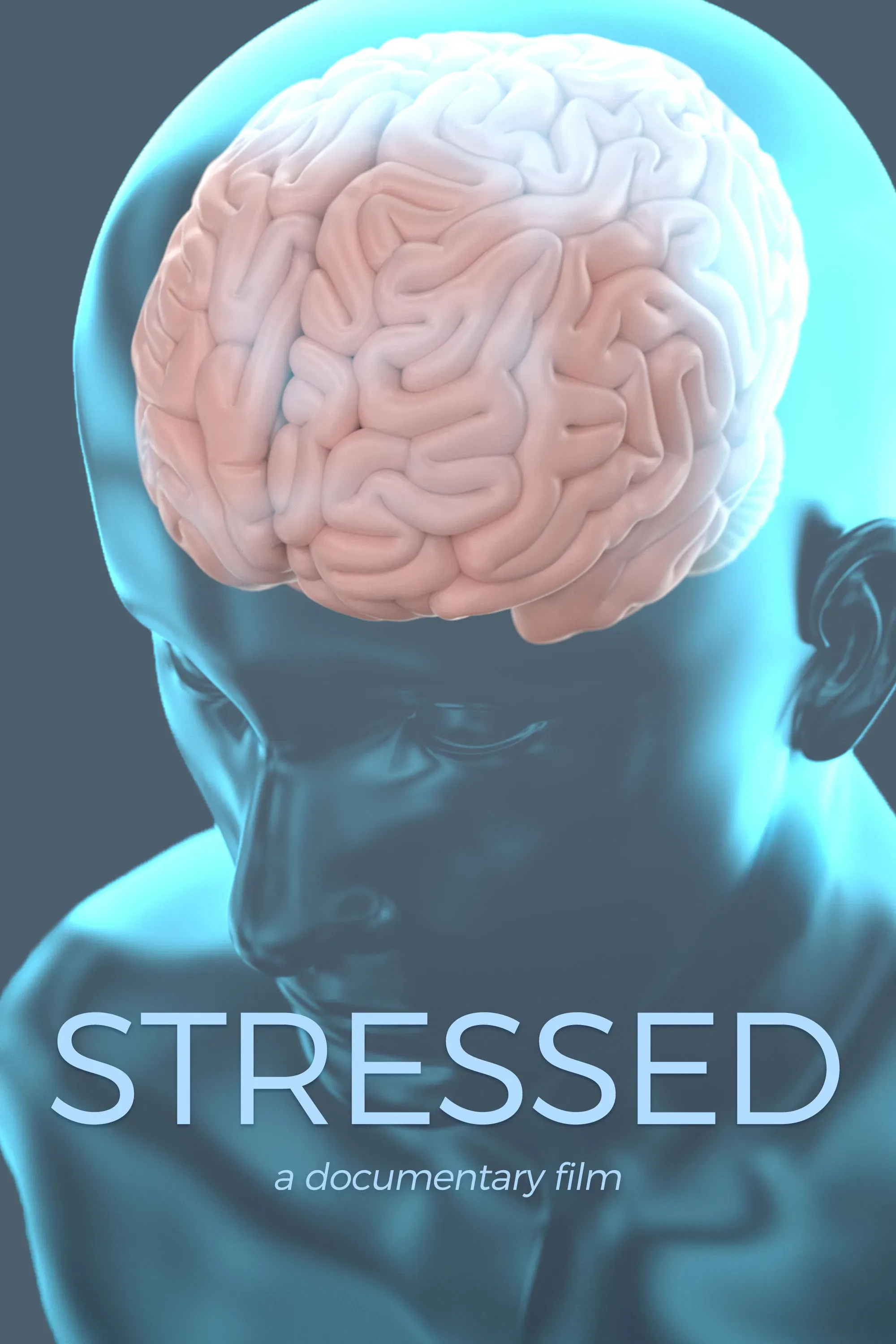 Poster of the movie Stressed