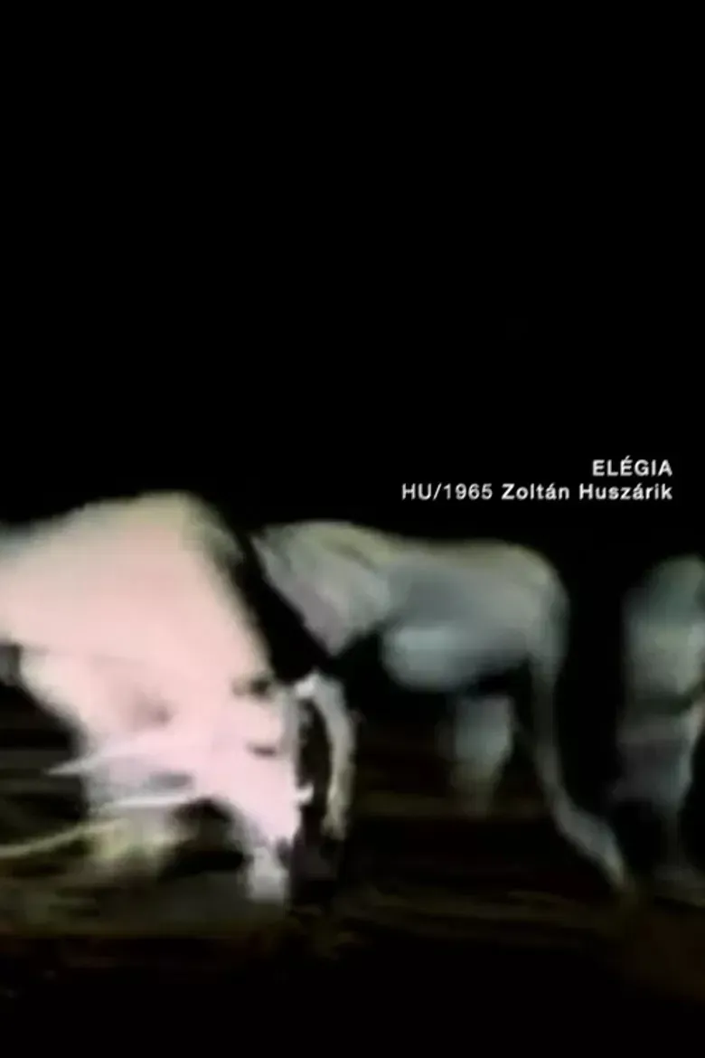 Poster of the movie Elegy