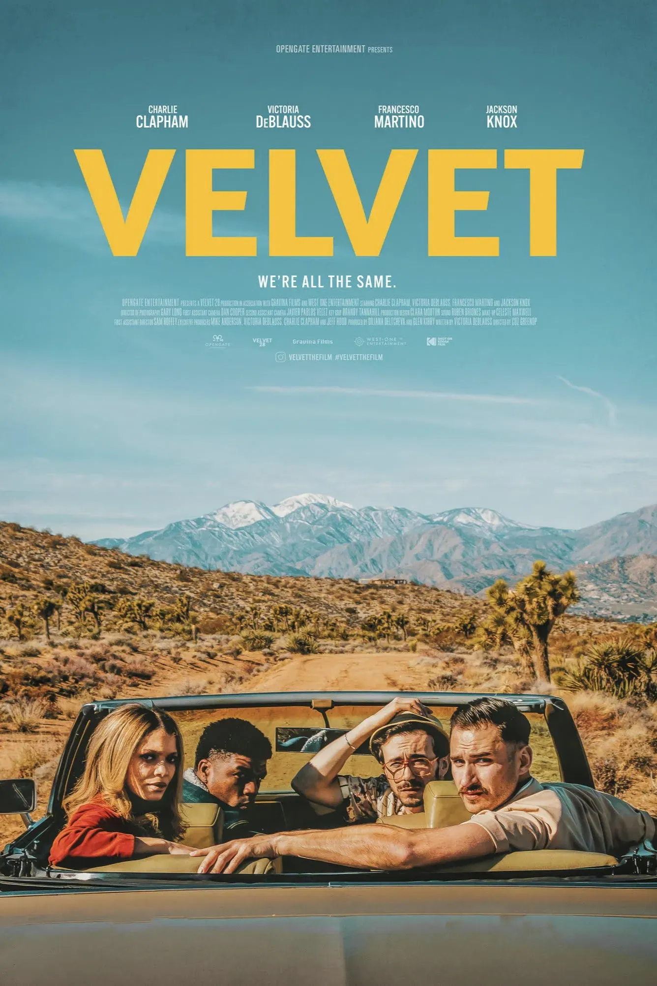 Poster of the movie Velvet