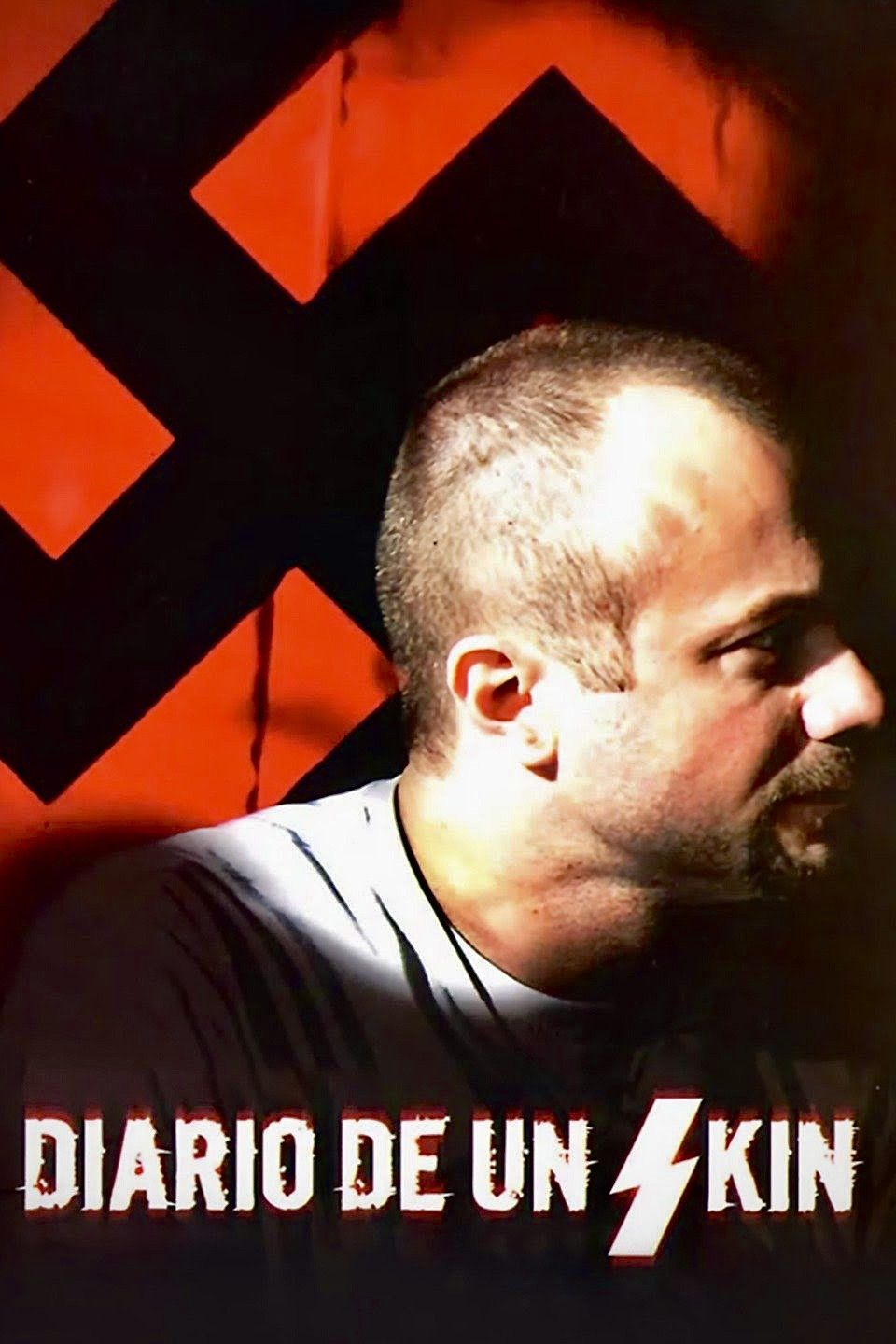 Poster of the movie Diario de un skin