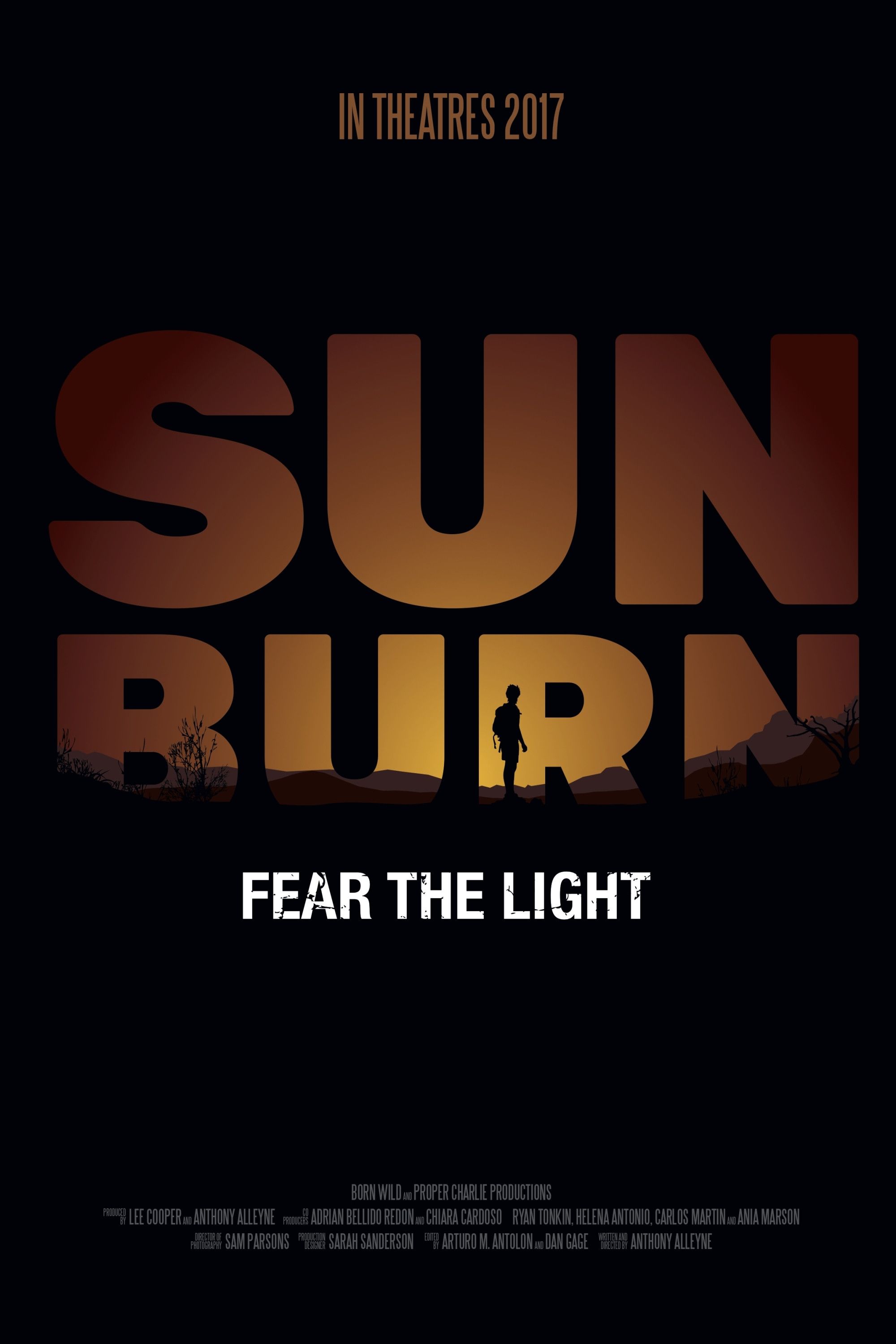 Poster of the movie Sunburn