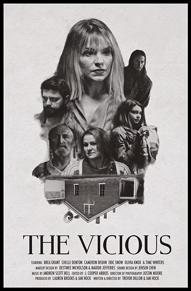 Poster of the movie The Vicious