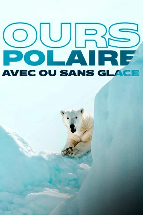 Poster for Face to Face with the Polar Bear