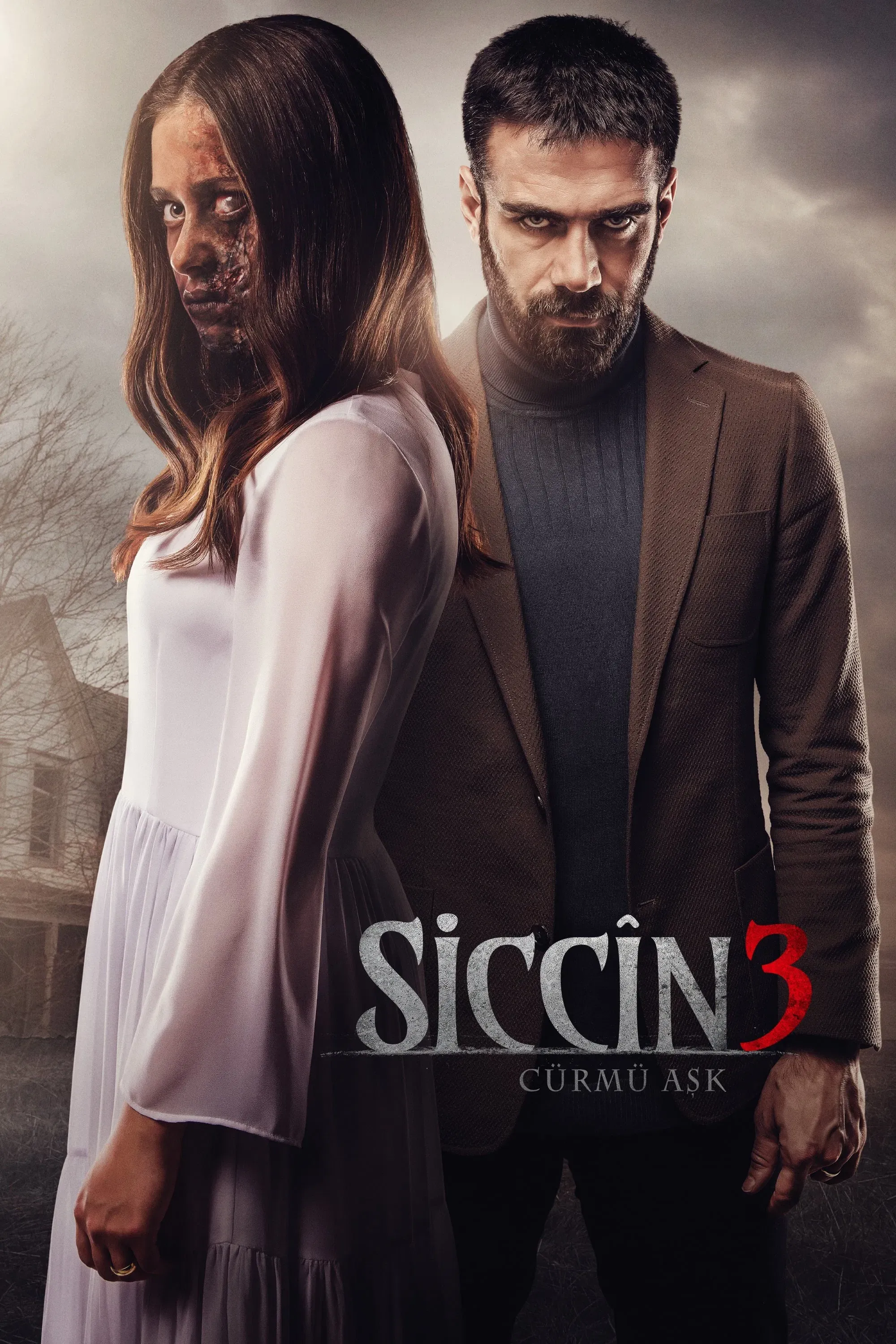 Poster of the movie Sijjin 3: The Forbidden Love