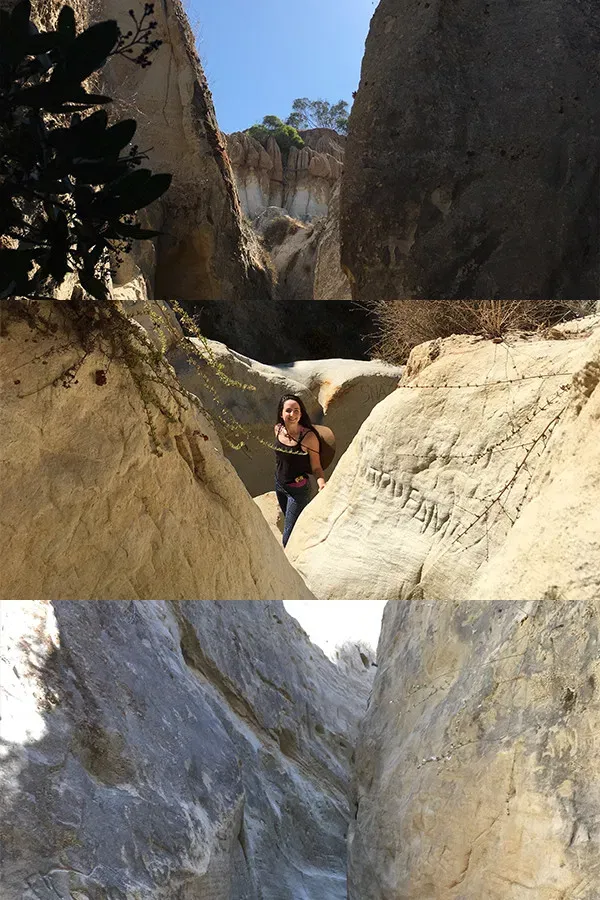 Poster of the movie Pageant