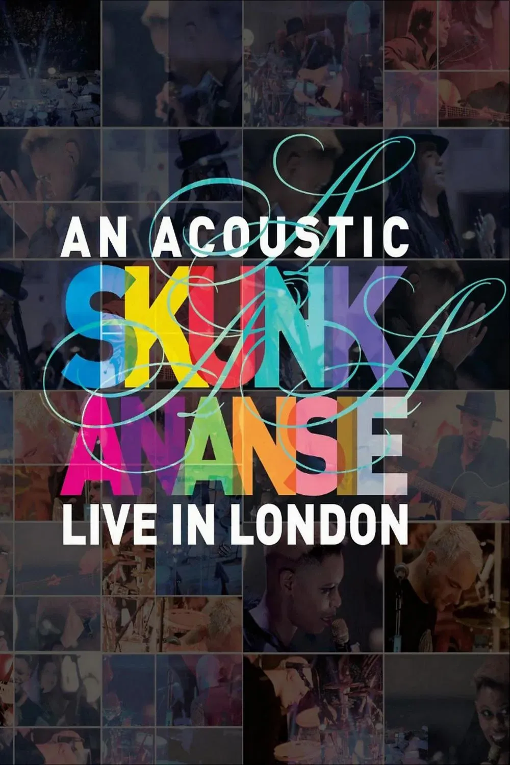 Poster of the movie Skunk Anansie - An Acoustic Skunk Anansie Live In London