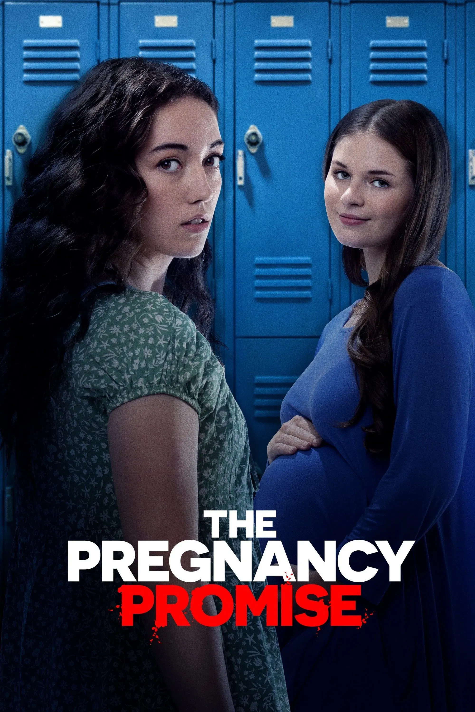 Poster of the movie The Pregnancy Promise