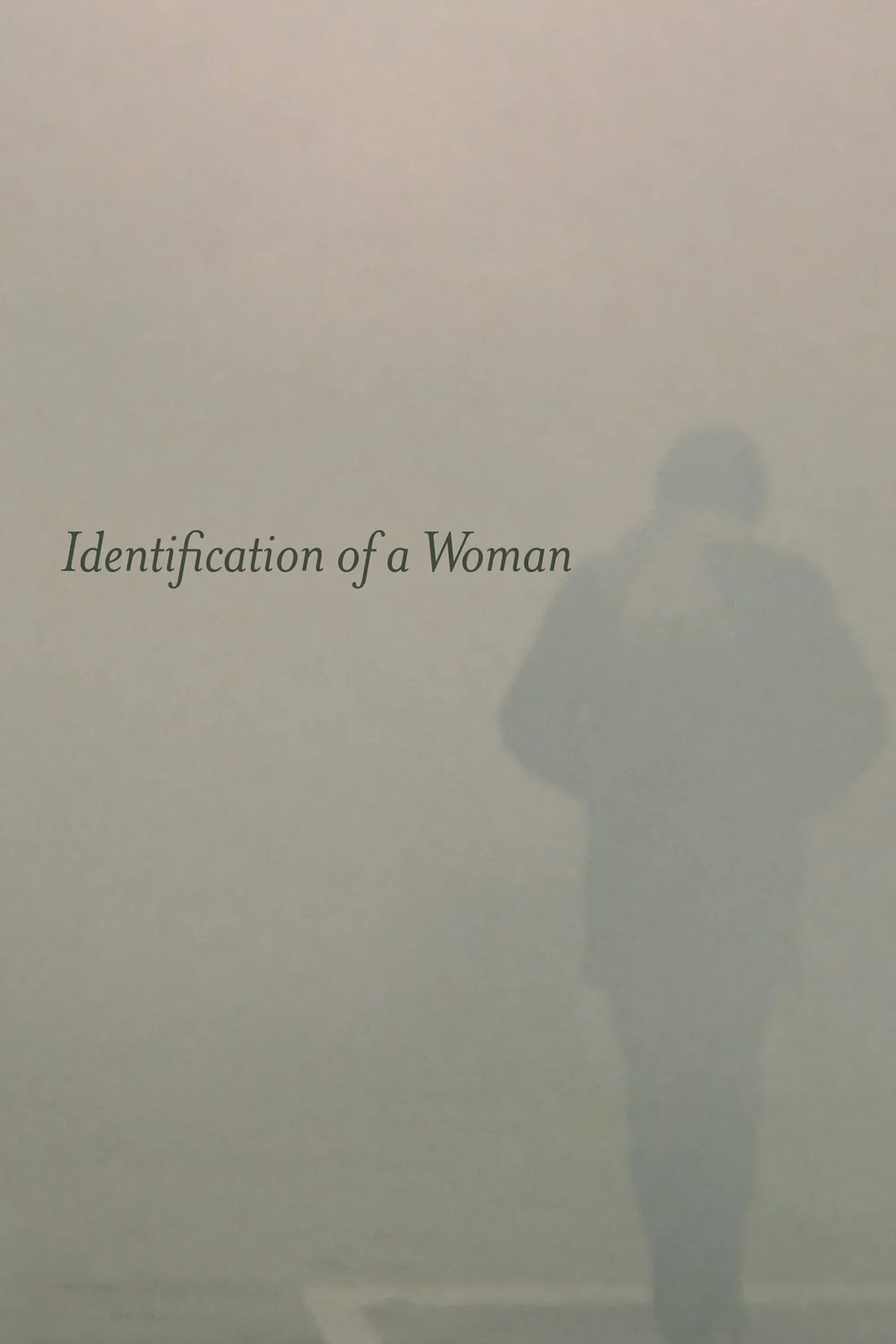 Poster of the movie Identification of a Woman