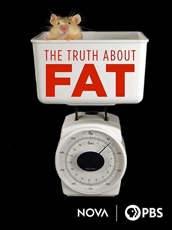 Poster of the movie The Truth About Fat