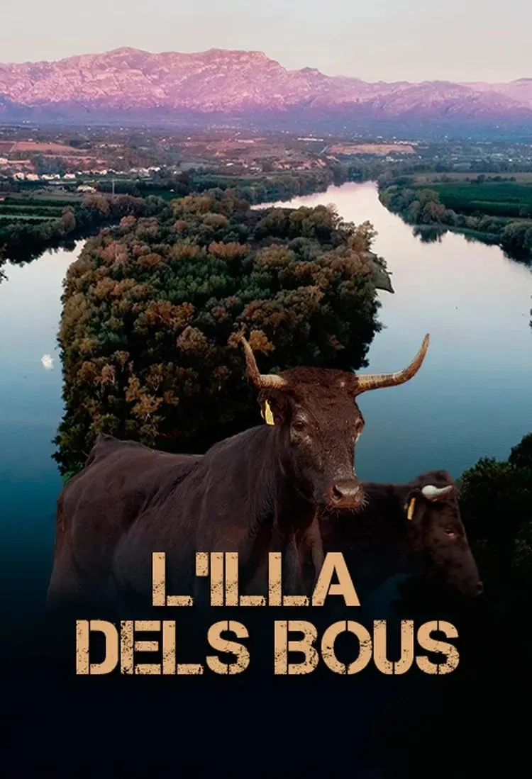 Poster for L'illa dels bous