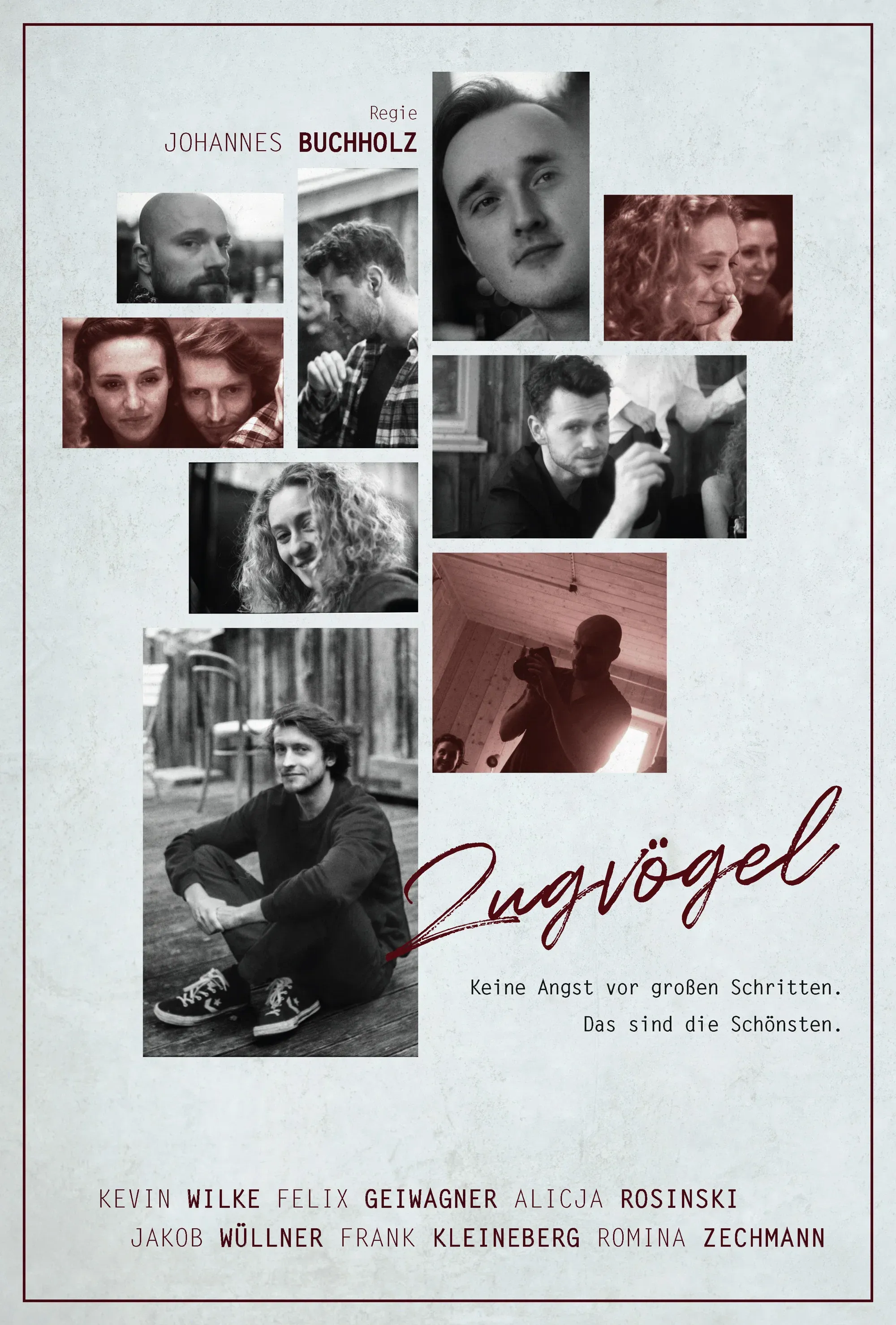 Poster for Zugvögel